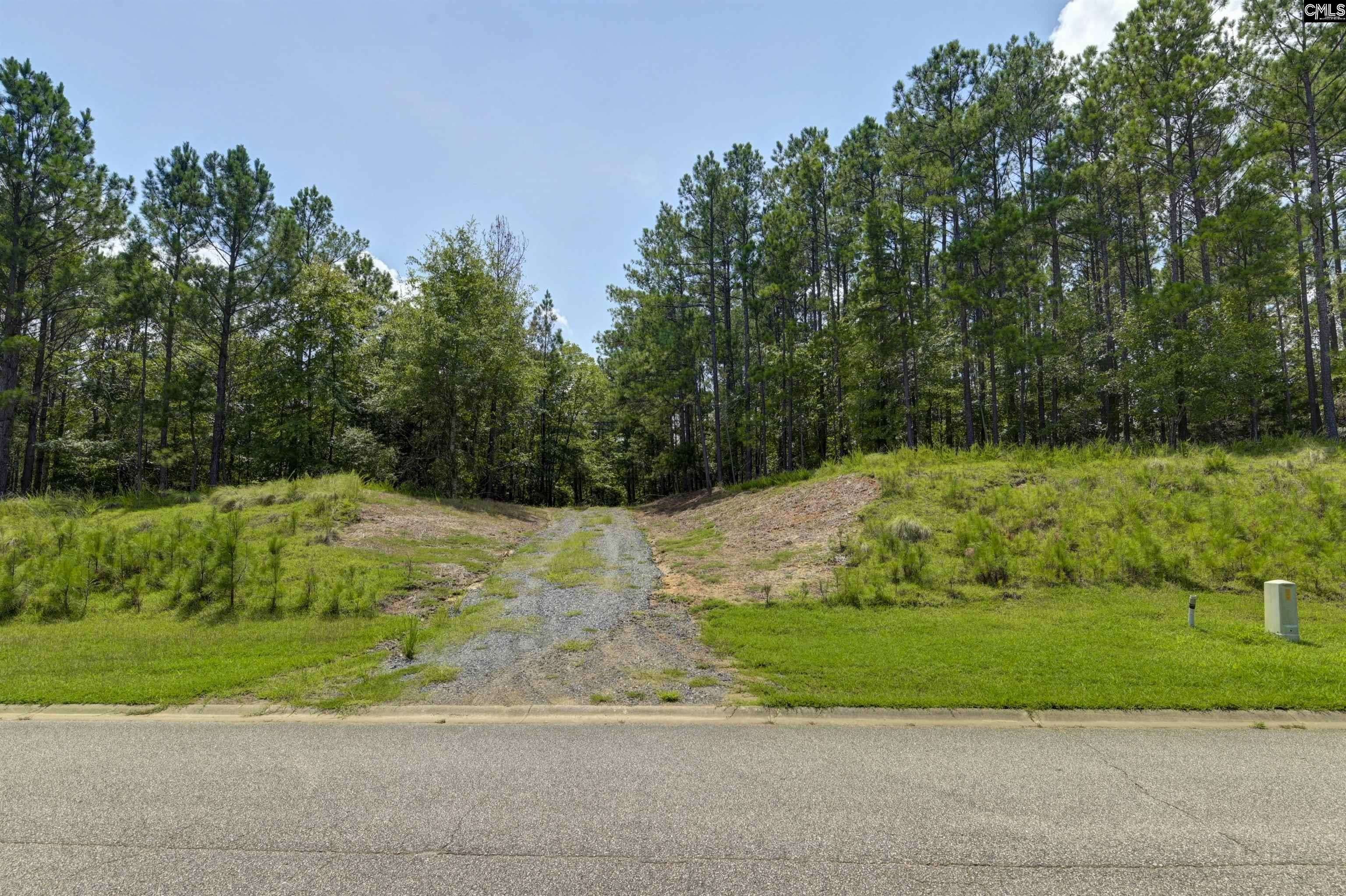 Ridgeway, SC 29130-0000,TBD Retreat Way #Parcel B