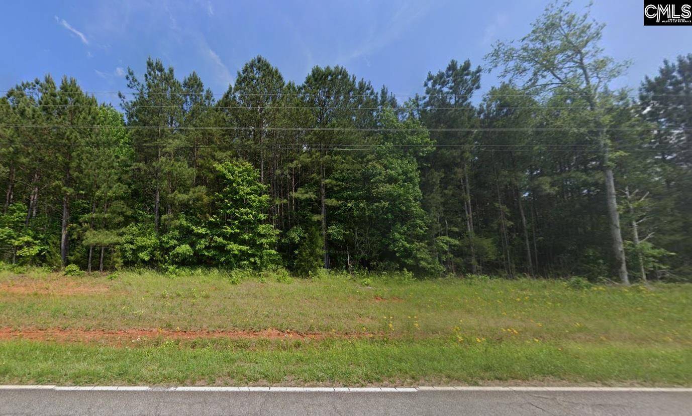 Newberry, SC 29108,TBD Old Whitmire Highway