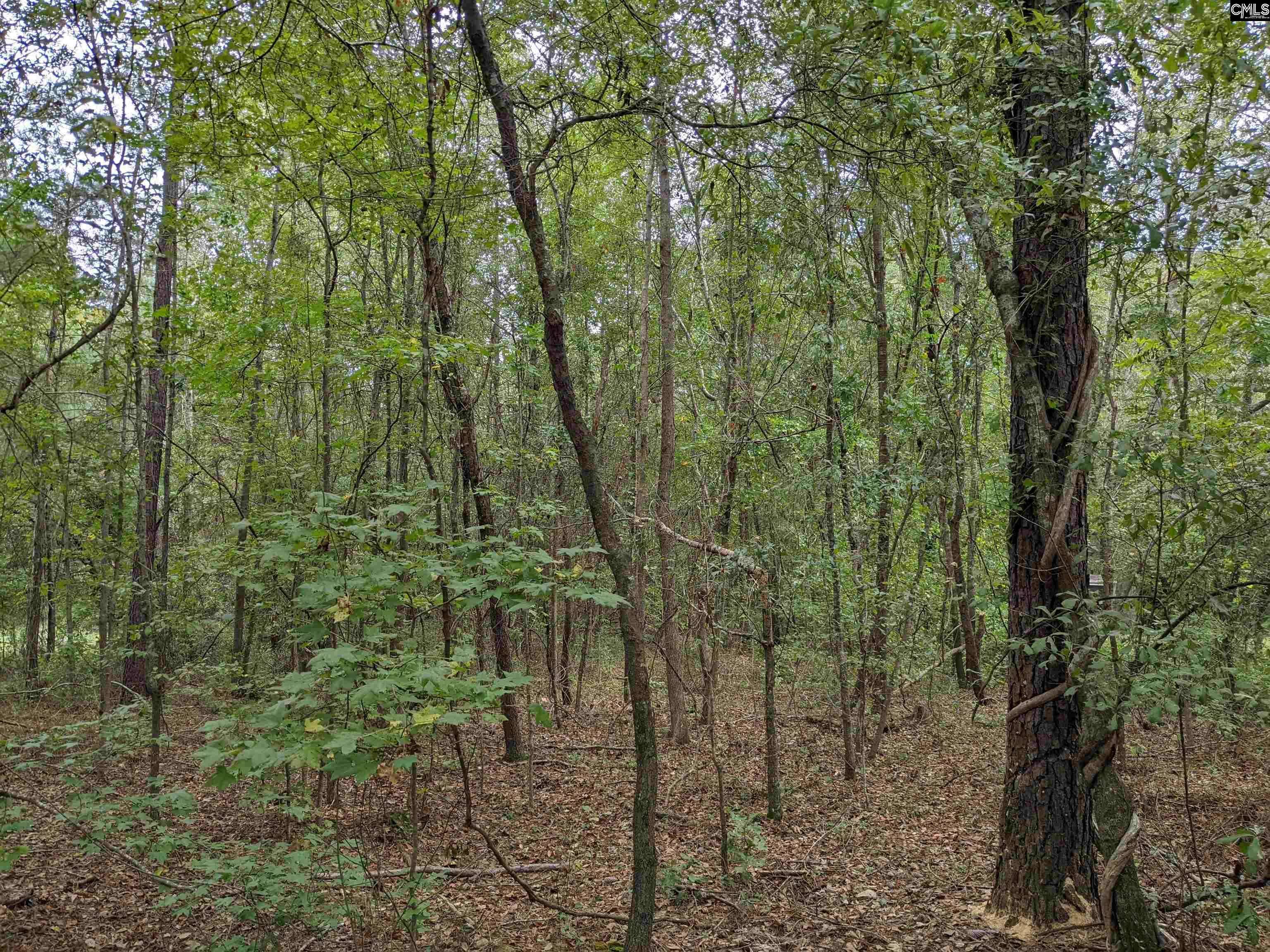 Hopkins, SC 29061,1113 Chappell Creek Road