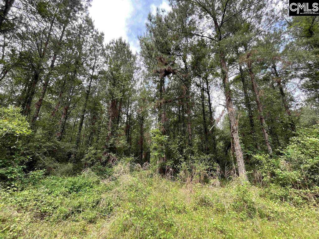 North, SC 29112,Bull Swamp Road