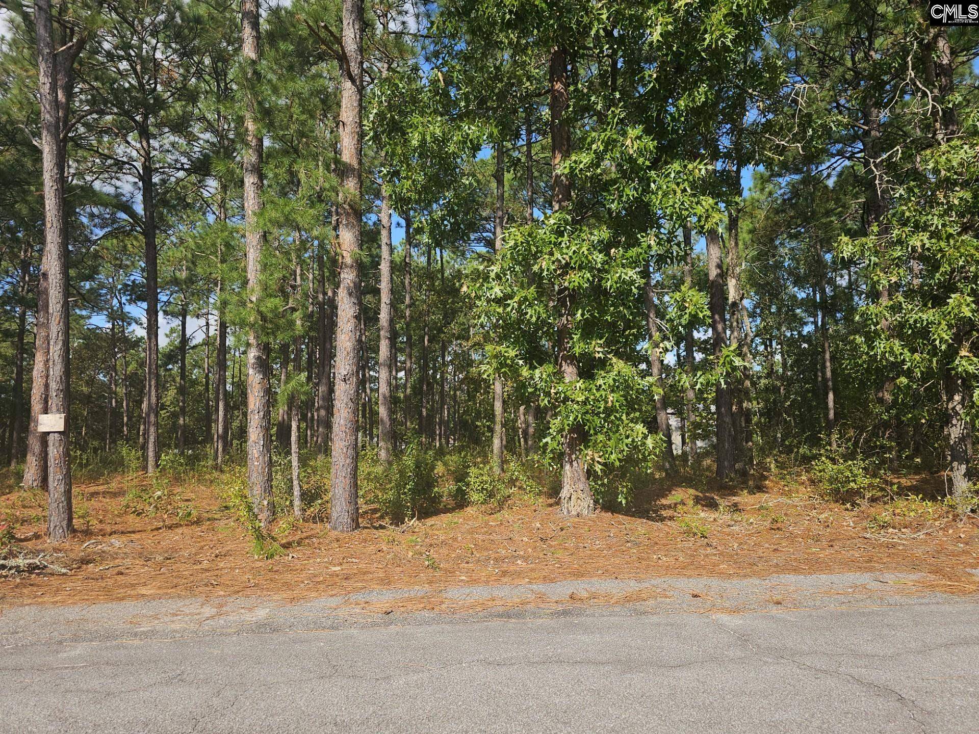 West Columbia, SC 29172,1011 Williams Circle #2