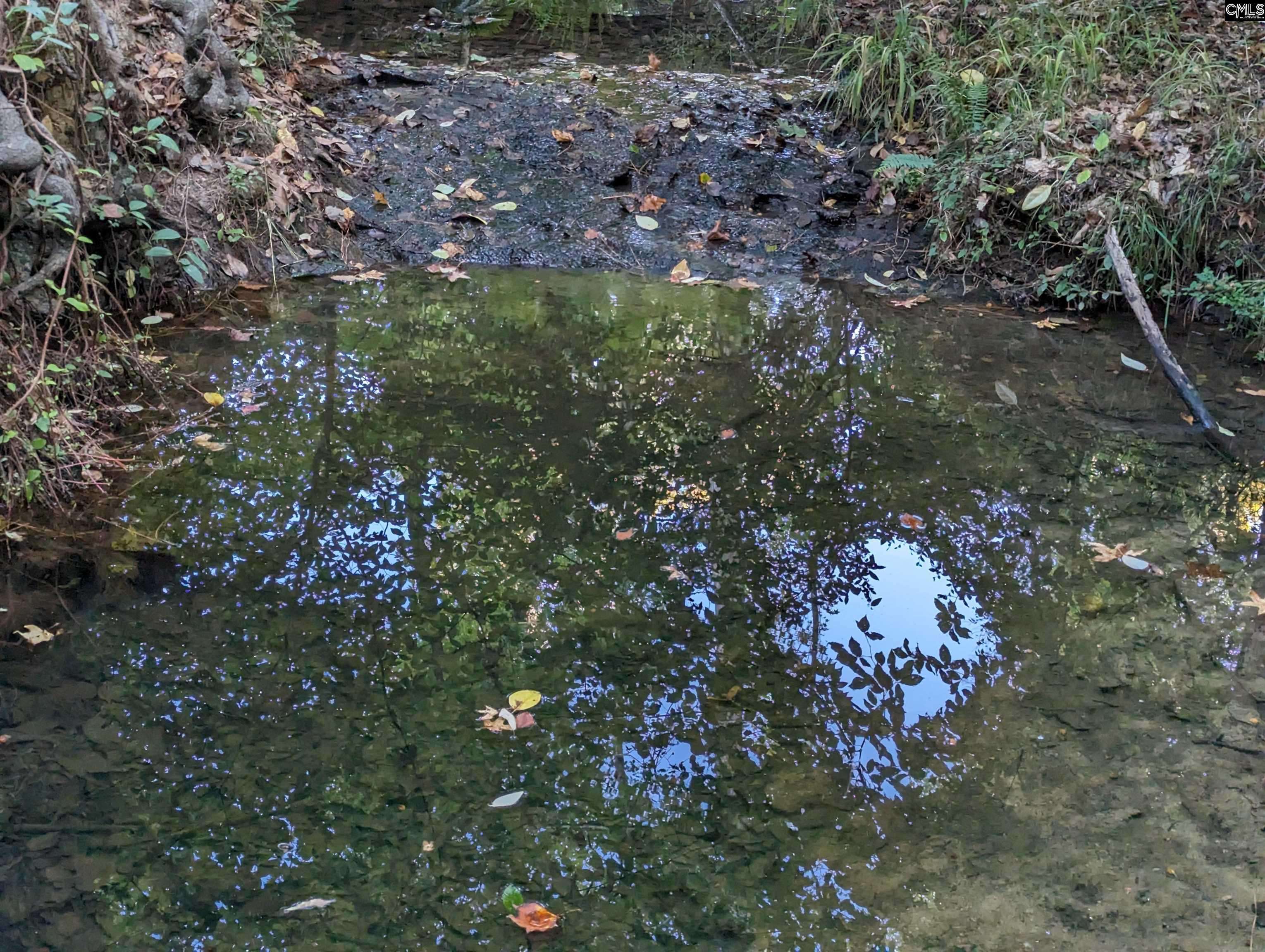 Little Mountain, SC 29075,532 Pomaria Street