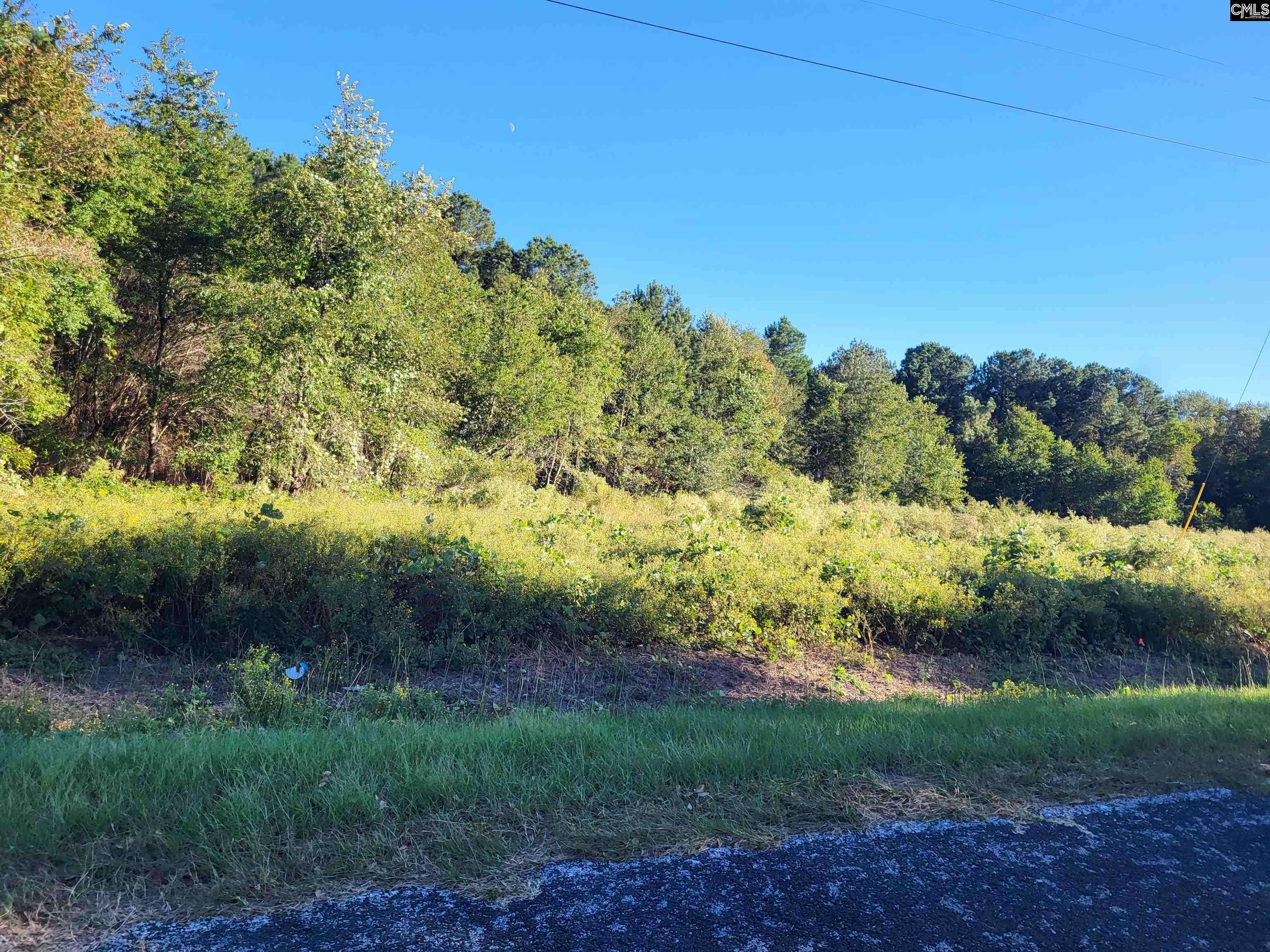 North, SC 29112,TBD Catalina Boulevard lot 5