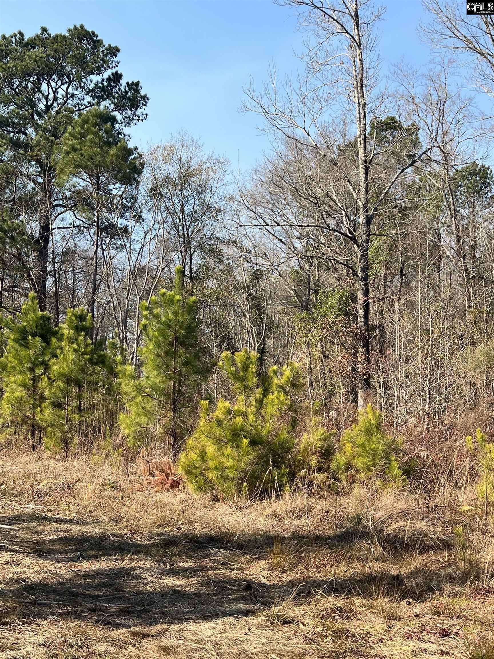 Hopkins, SC 29061,0 & 00 Base Hill Road