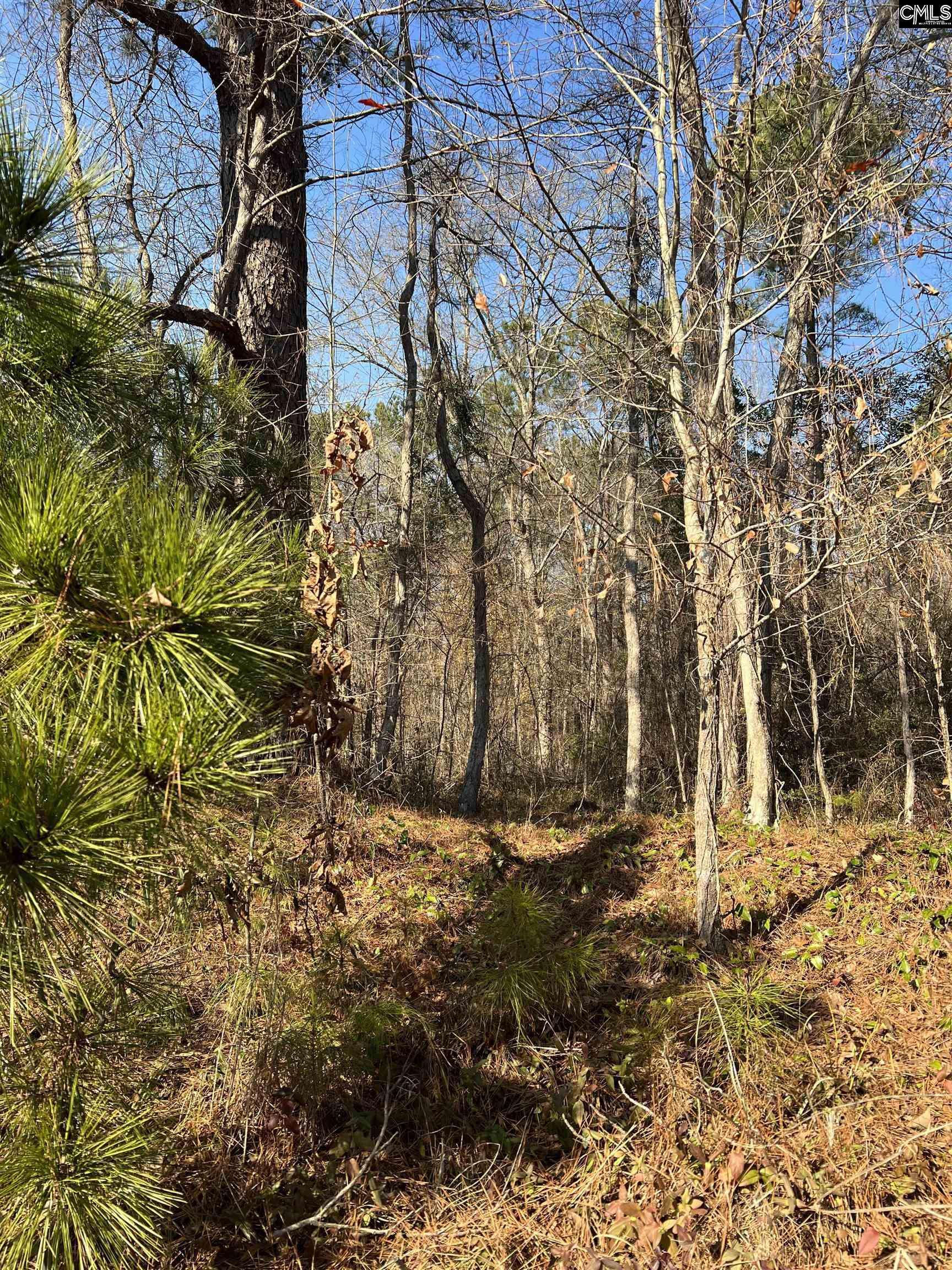 Hopkins, SC 29061,0 & 00 Base Hill Road