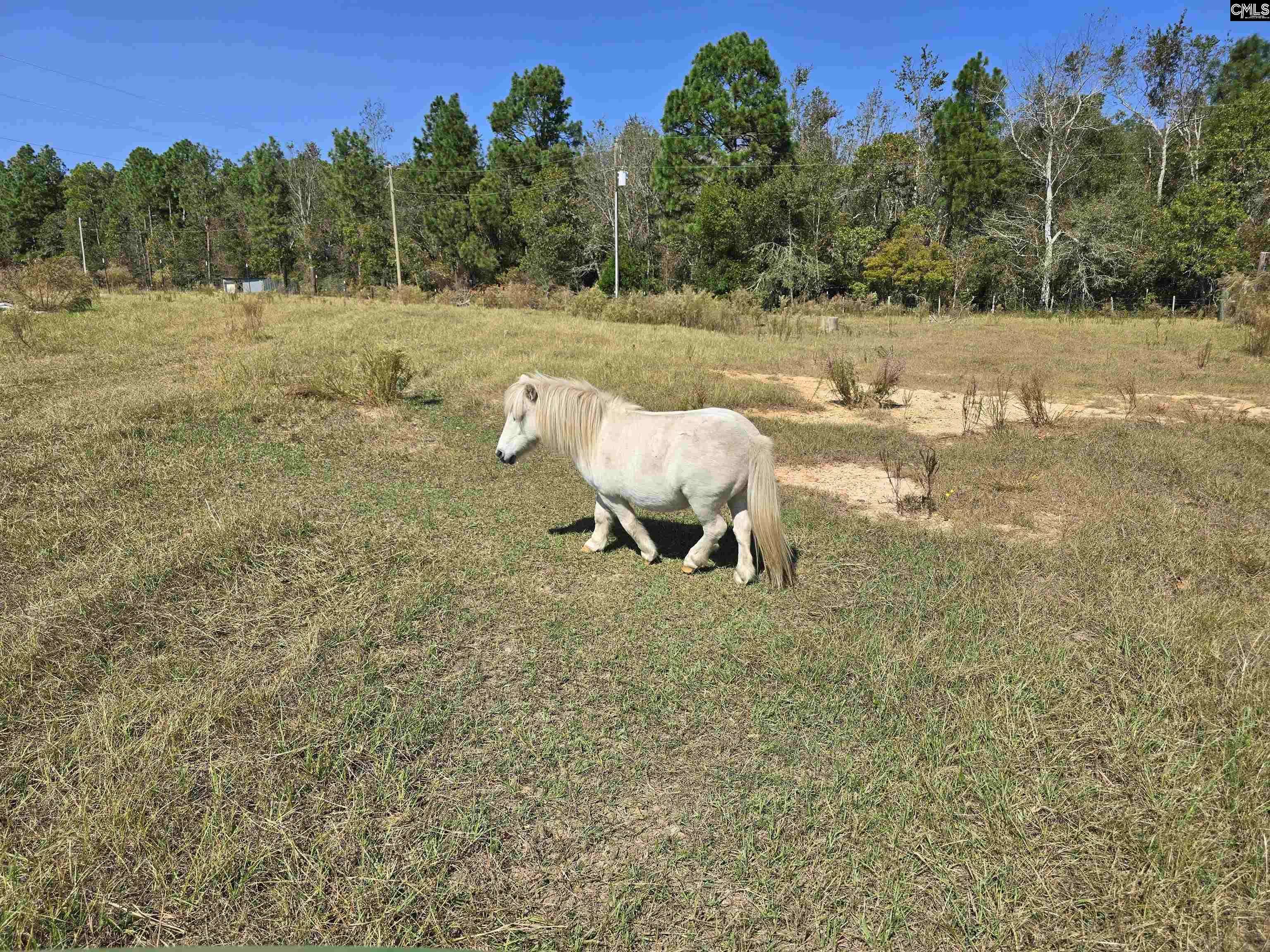 Batesburg, SC 29006,991 Old Chalk Bed Road