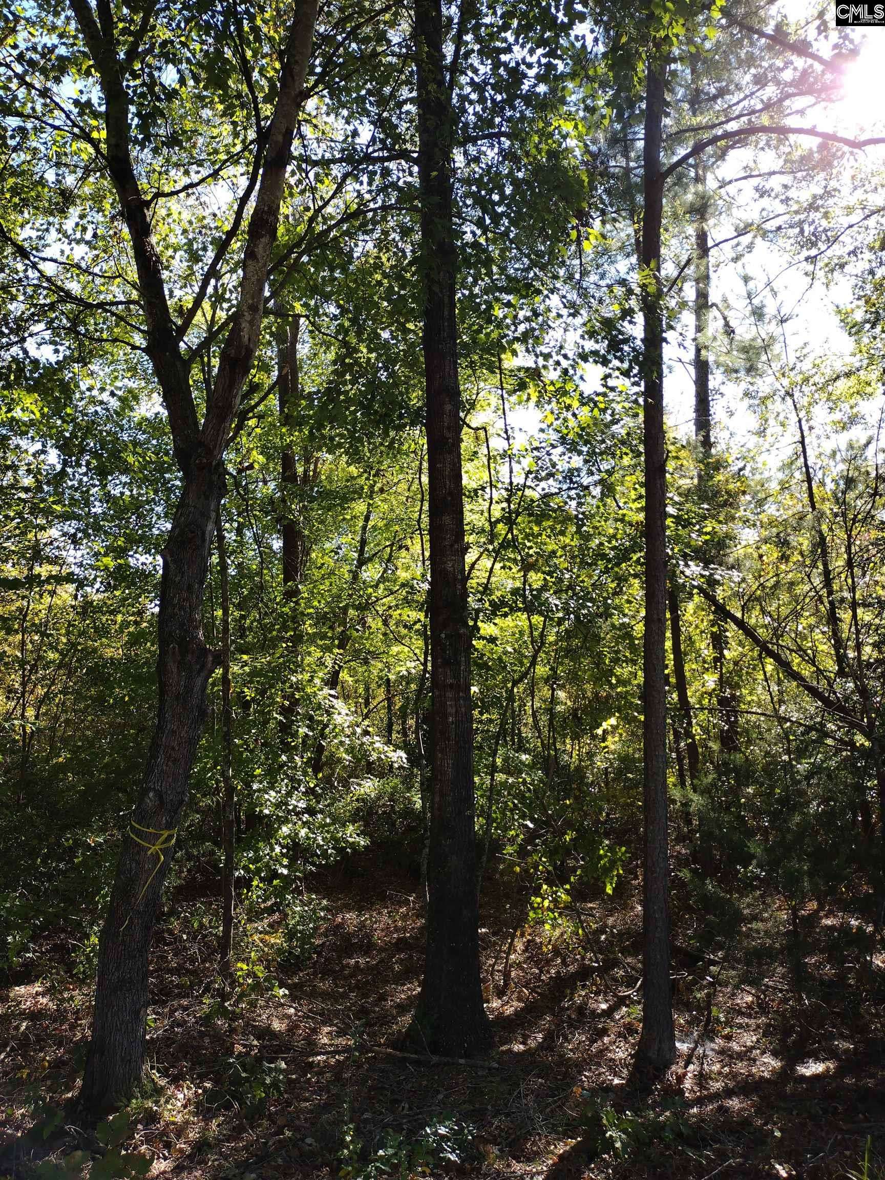 Little Mountain, SC 29075,TBD Sam Koon Road #12