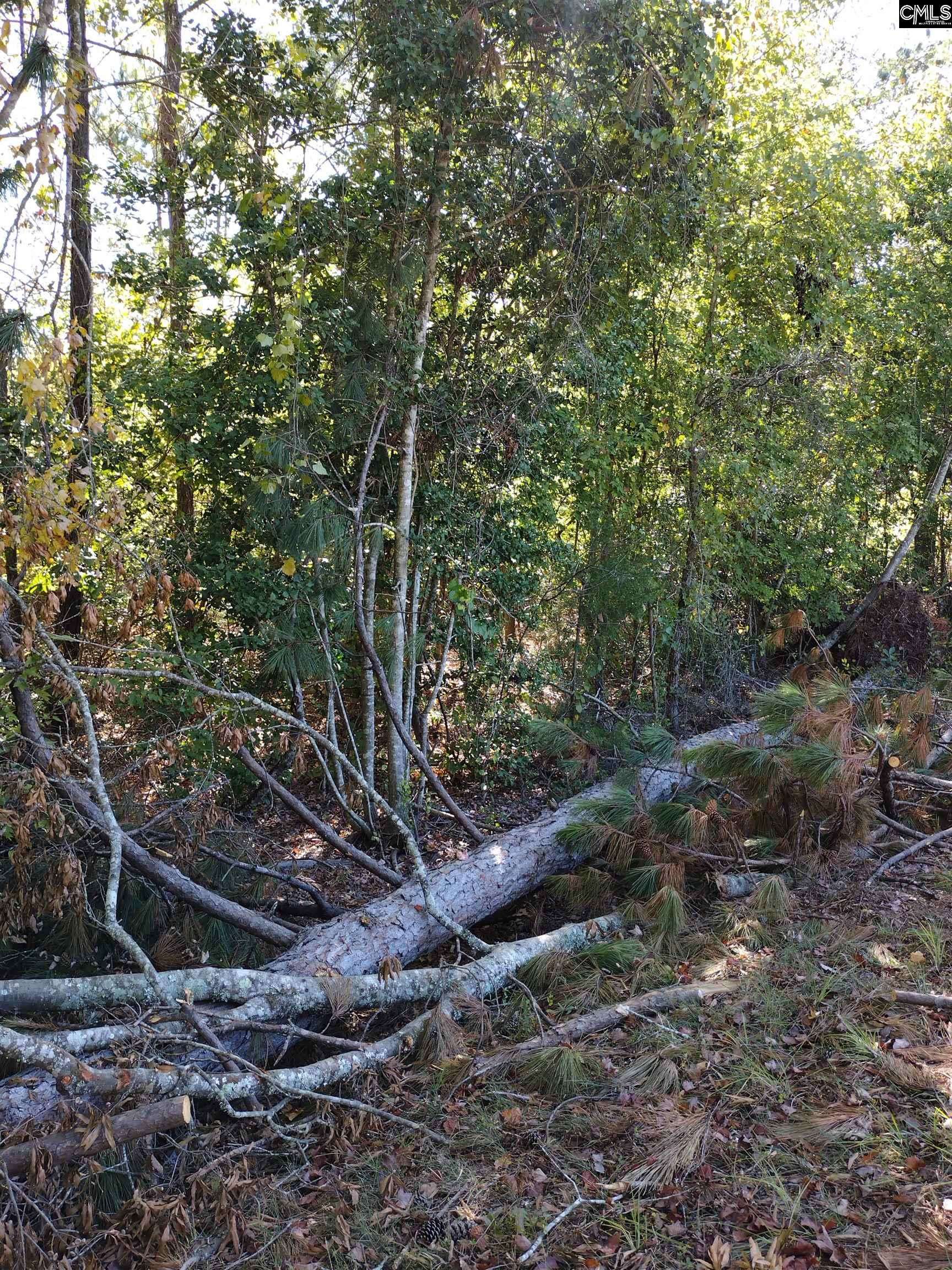 Little Mountain, SC 29075,TBD Sam Koon Road #12