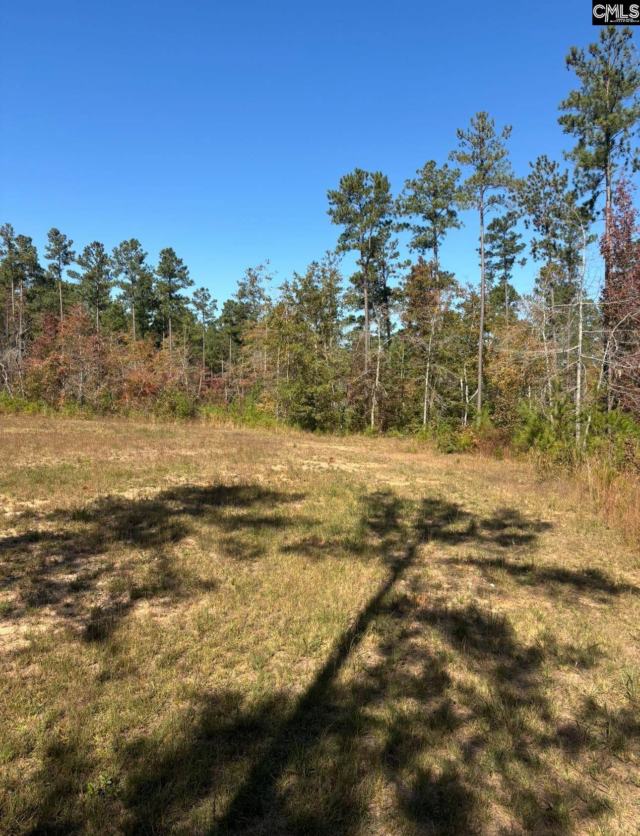Saluda, SC 29138,203 Legend Drive