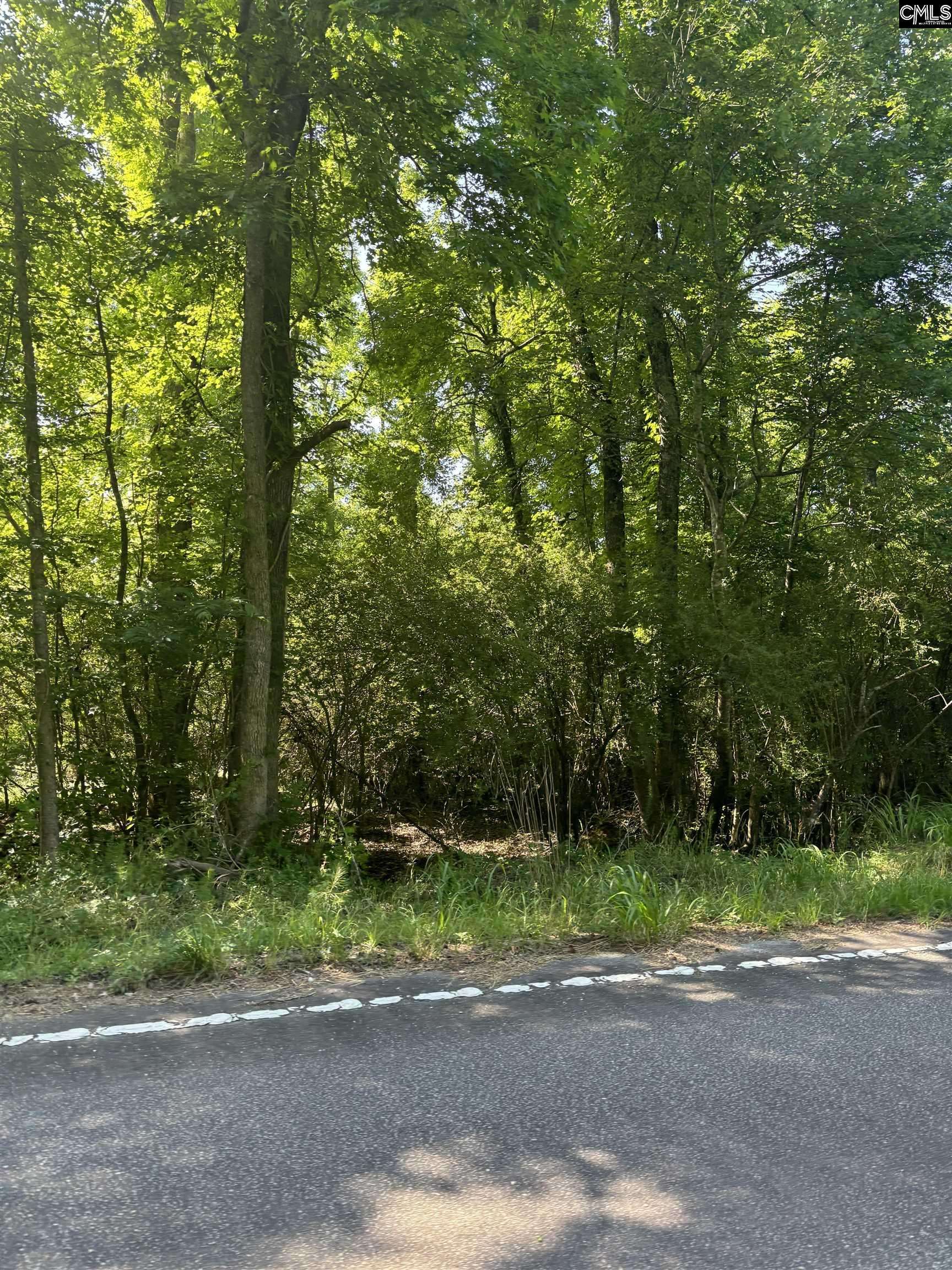 Rembert, SC 29128,0 Pisgah Road #Tract 3