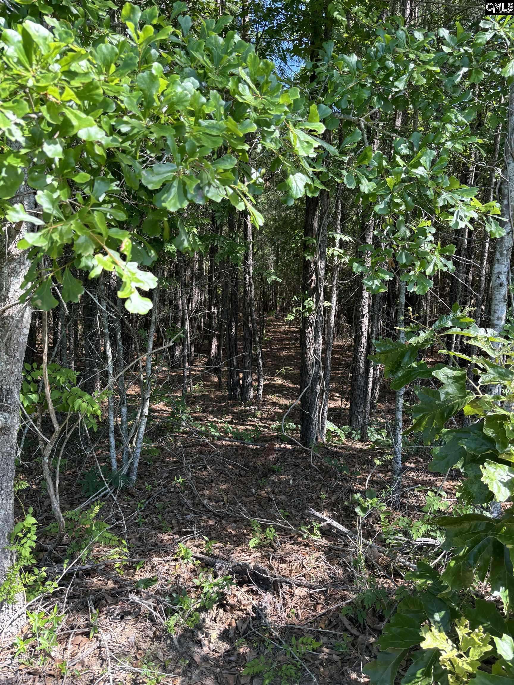 Rembert, SC 29128,0 Pisgah Road #Tract 4