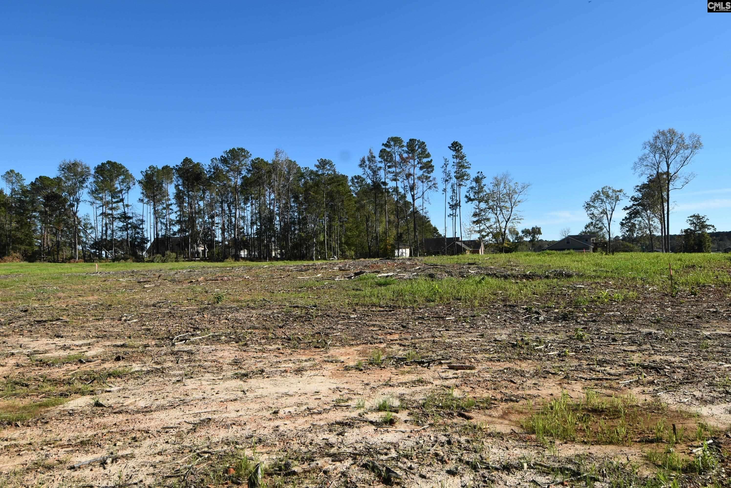 Prosperity, SC 29127,Lot 4 Gold Nugget Point #4