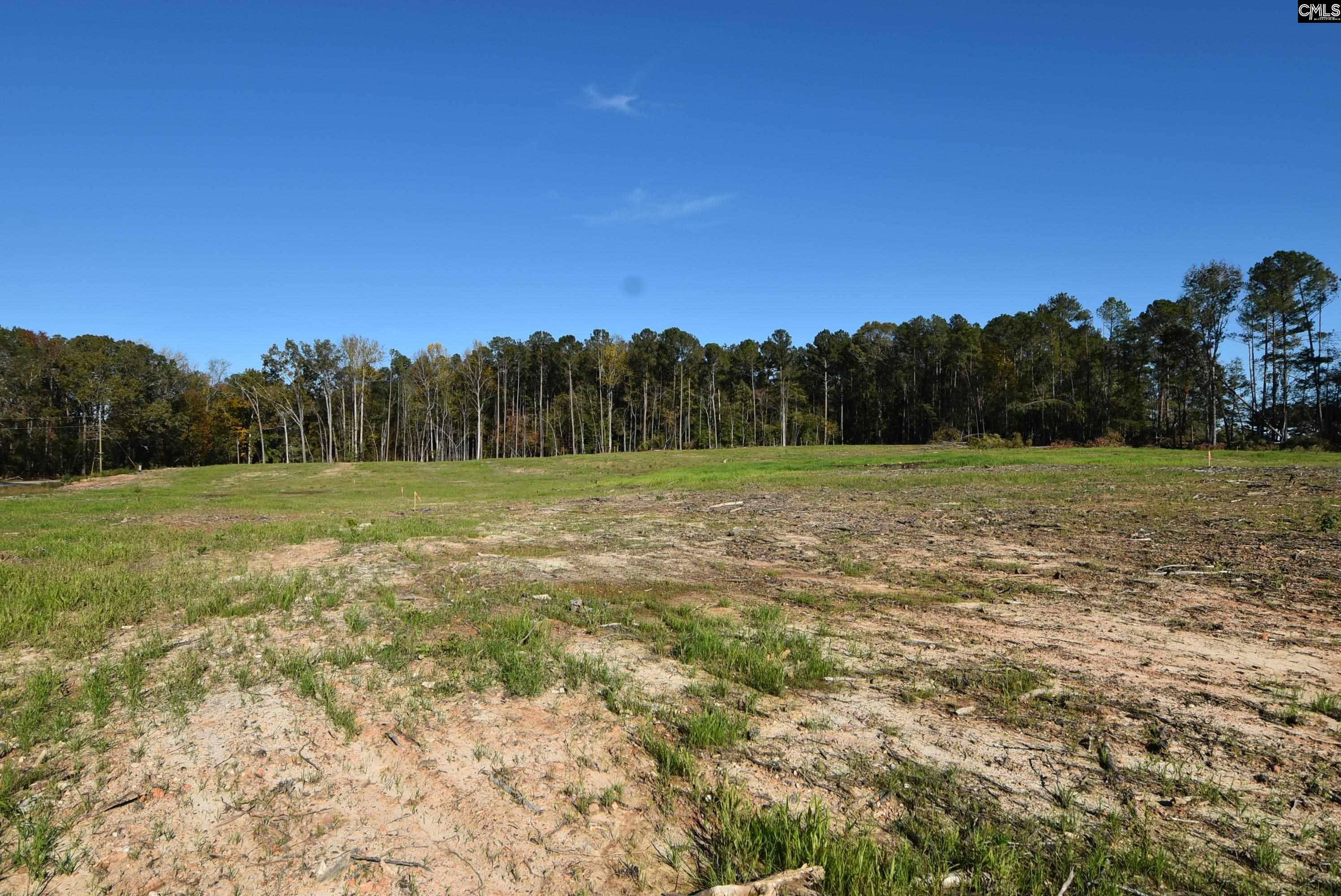 Prosperity, SC 29127,Lot 4 Gold Nugget Point #4