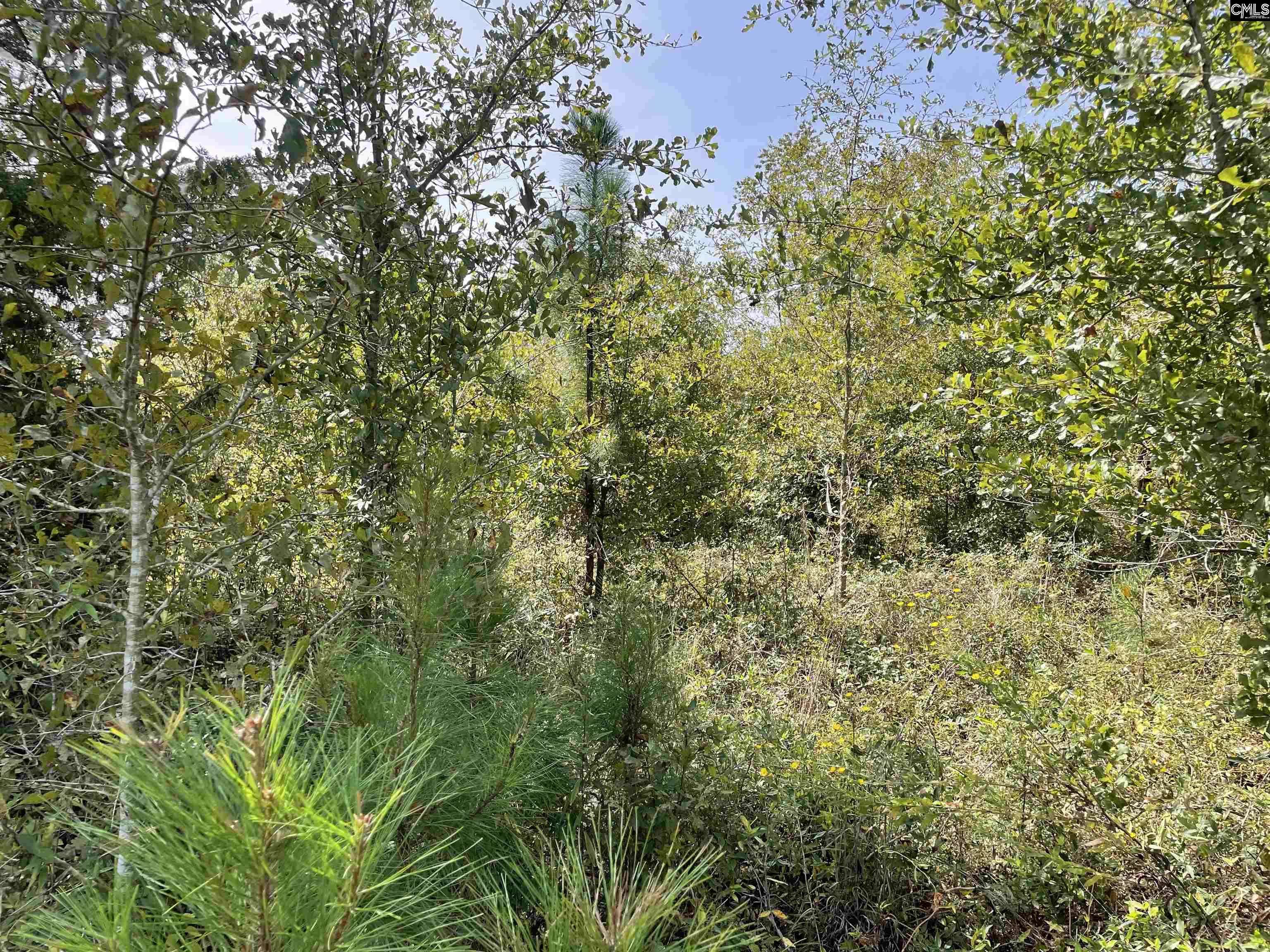 Neeses, SC 29107,6722-6798 Savannah Highway