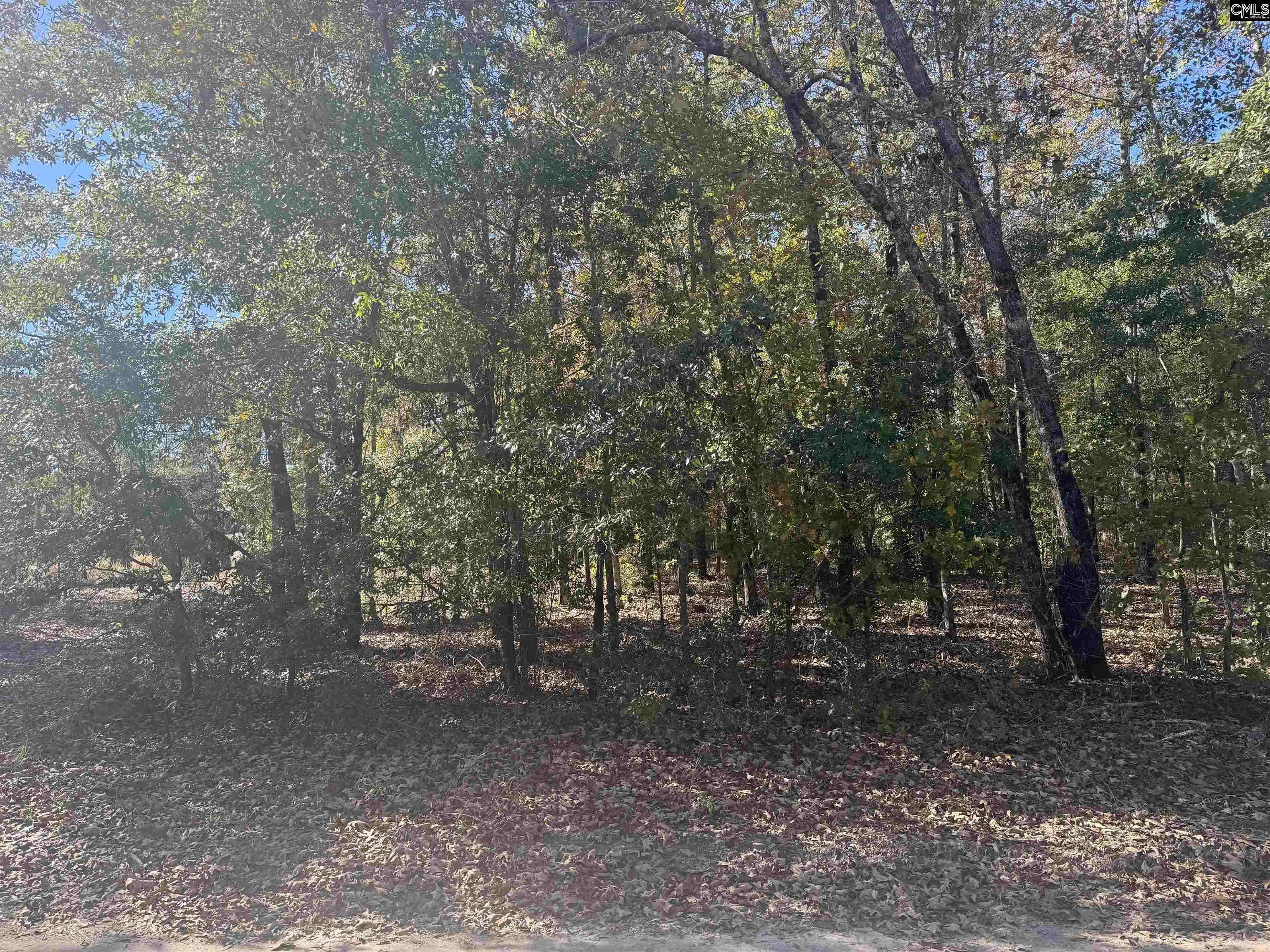 Bamberg, SC 29003,TBD Possum Trail