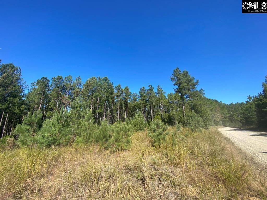 Winnsboro, SC 29180,Turkey Creek Road