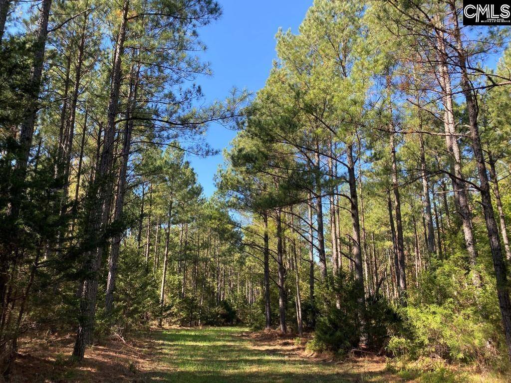Winnsboro, SC 29180,Turkey Creek Road