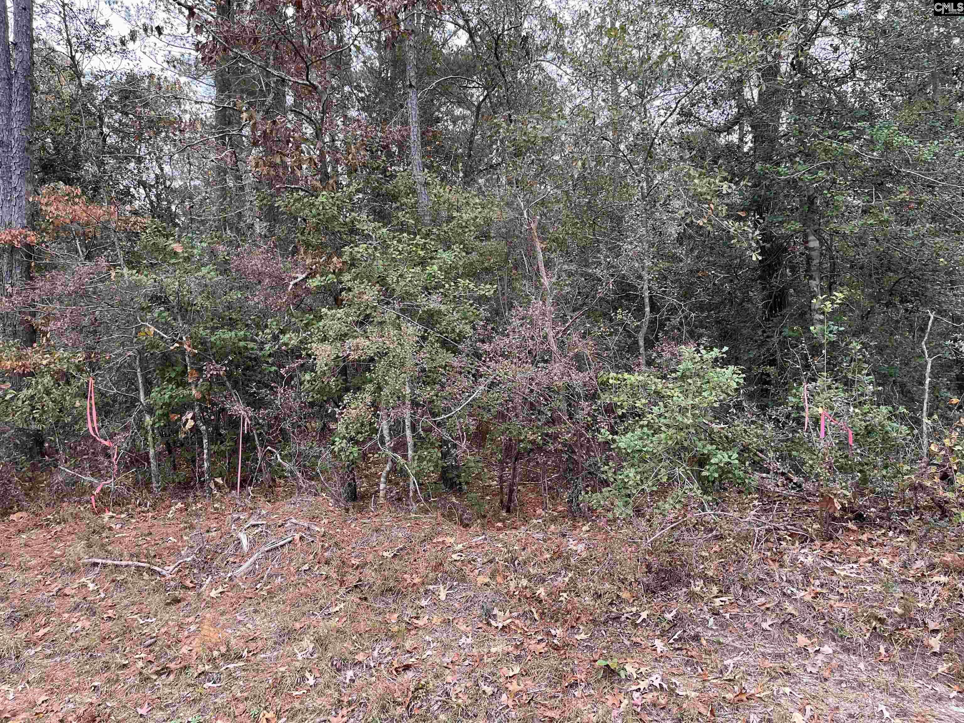 North, SC 29112,TBD Parkwood Avenue #5