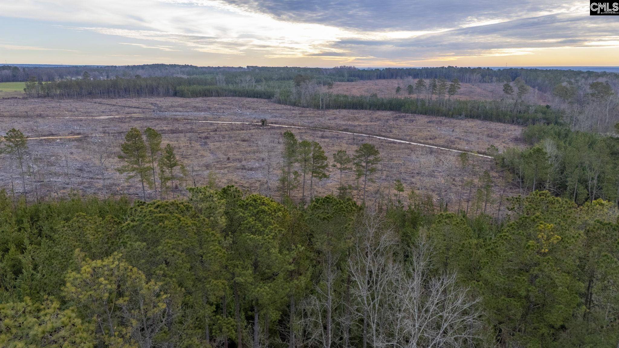 Saluda, SC 29138,Ebb Mack lot 1 Road #Lot 1