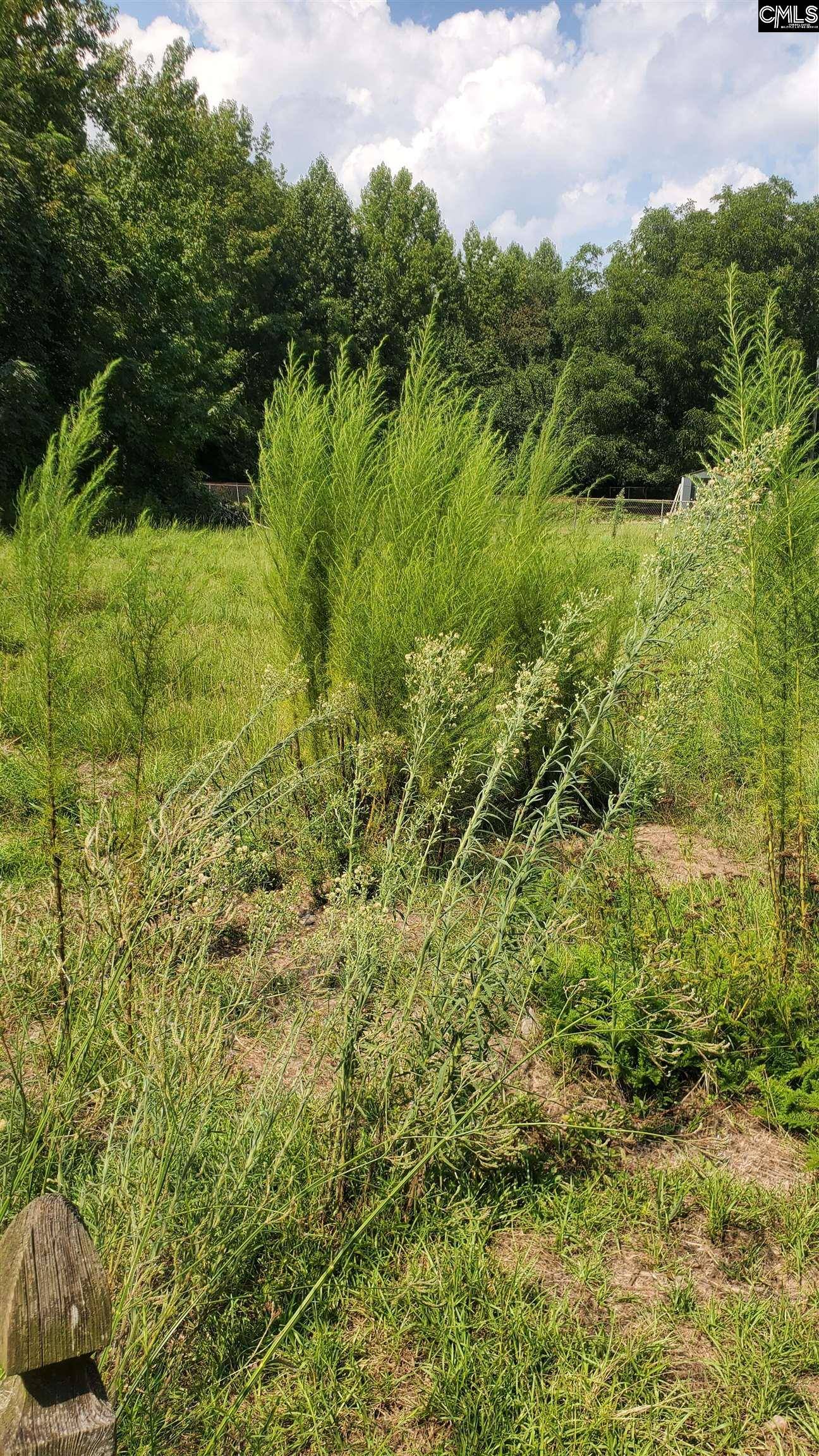 Pinewood, SC 29125,Ardis Road