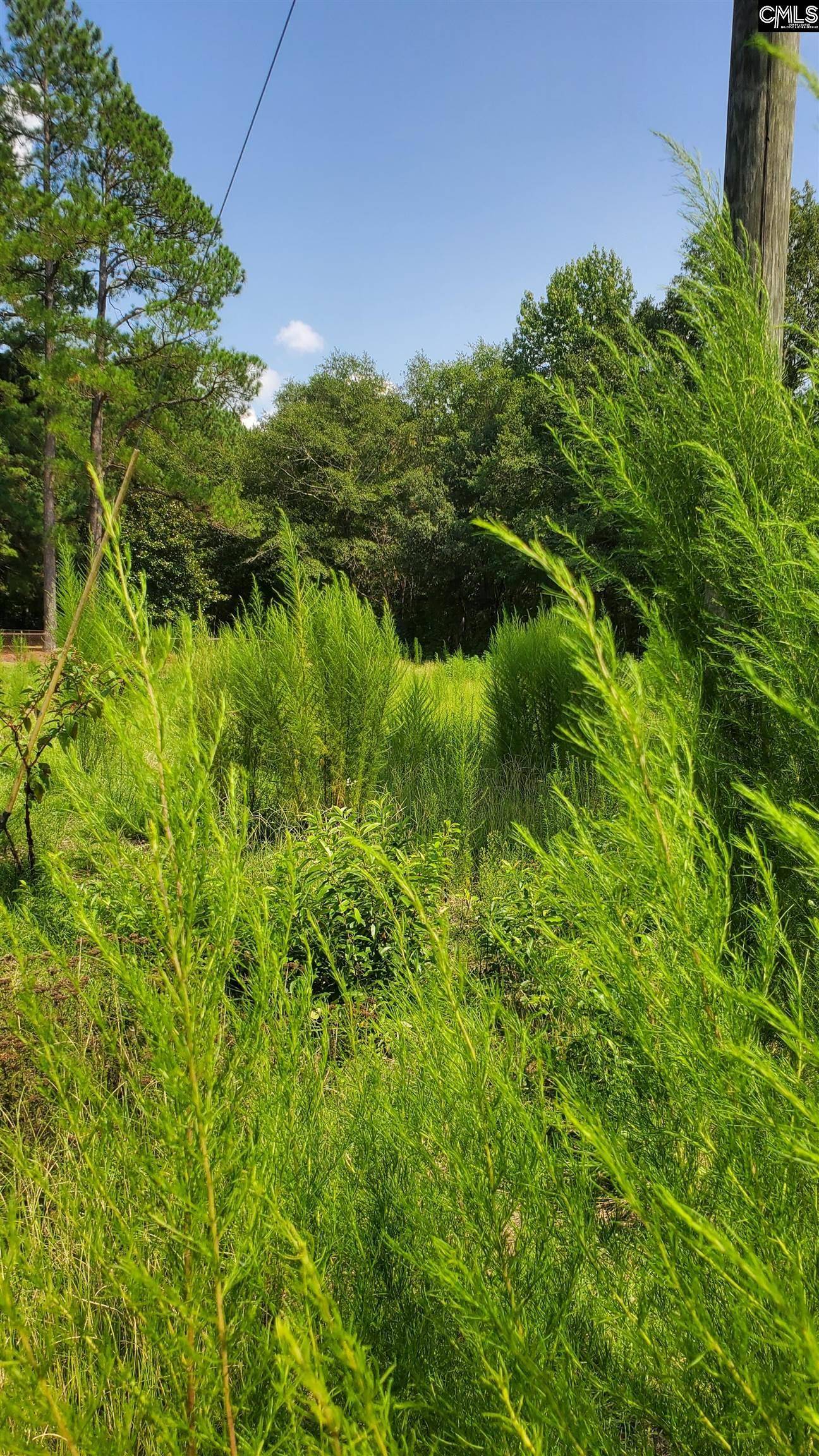Pinewood, SC 29125,Ardis Road