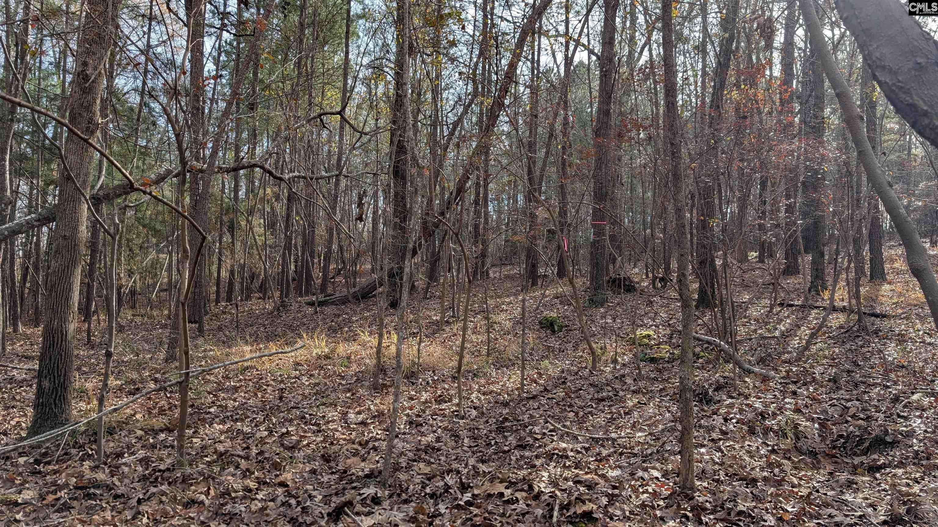 Winnsboro, SC 29180-0000,TBD Wateree Estates Road