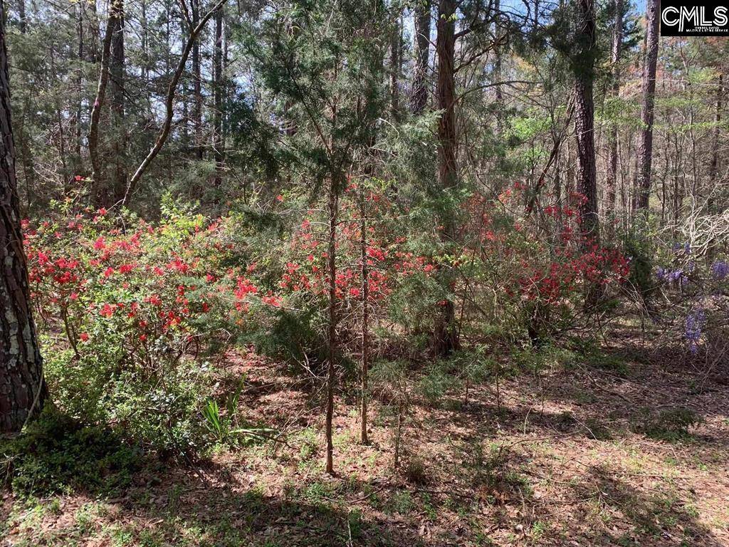 Irmo, SC 29063,0 TBD PARCEL B ELEAZER Road