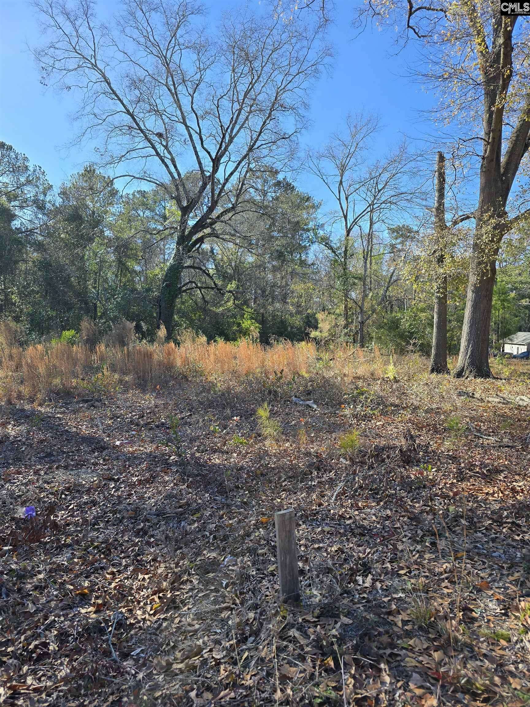 Cayce, SC 29033,0 Lot 7 Popular Street #7