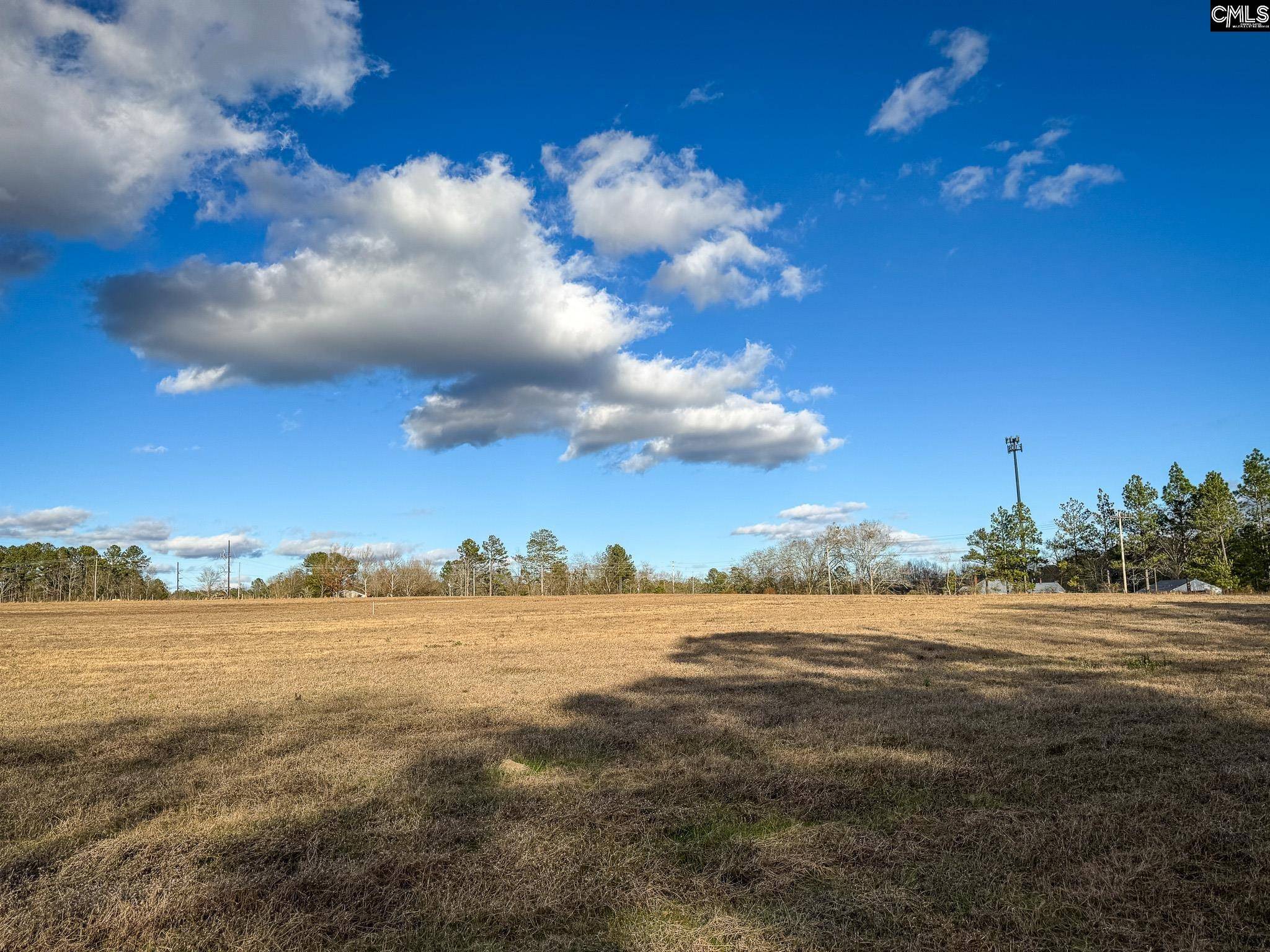 Leesville, SC 29070,120 Briarwood Road Lot 4 #Lot 4