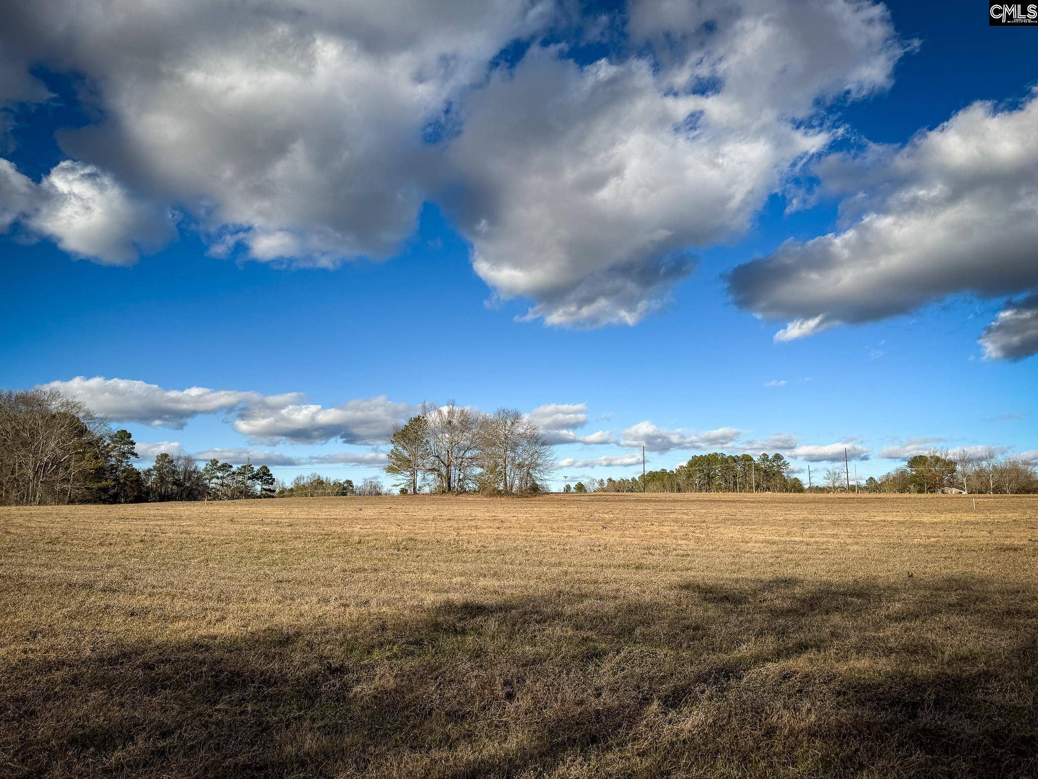 Leesville, SC 29070,120 Briarwood Road Lot 5 #Lot 5