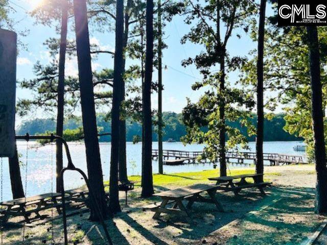 Chapin, SC 29036,220 Lynch Lane