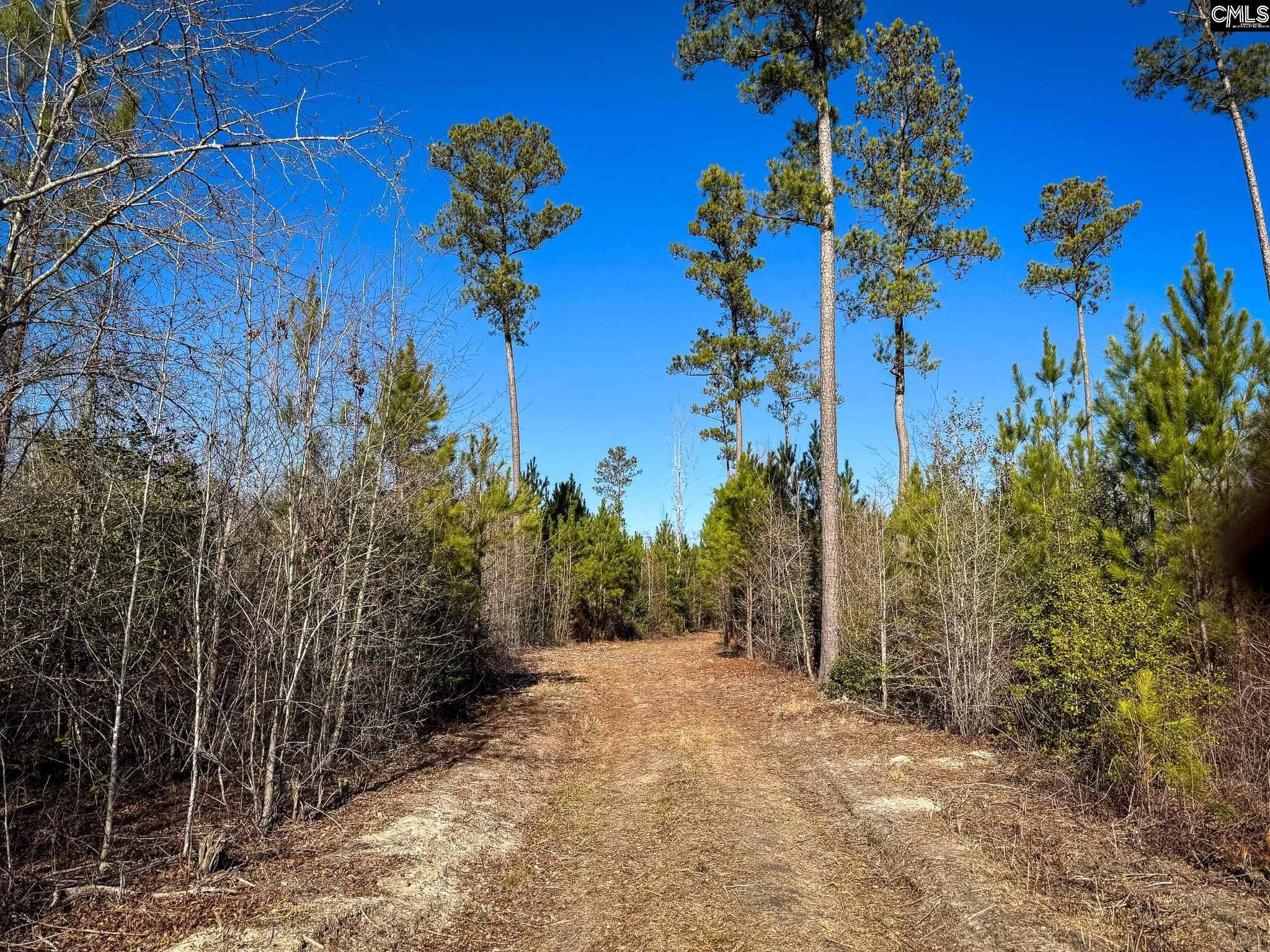 Leesville, SC 29070,0 Palomino Road Lot 17 #Lot 17