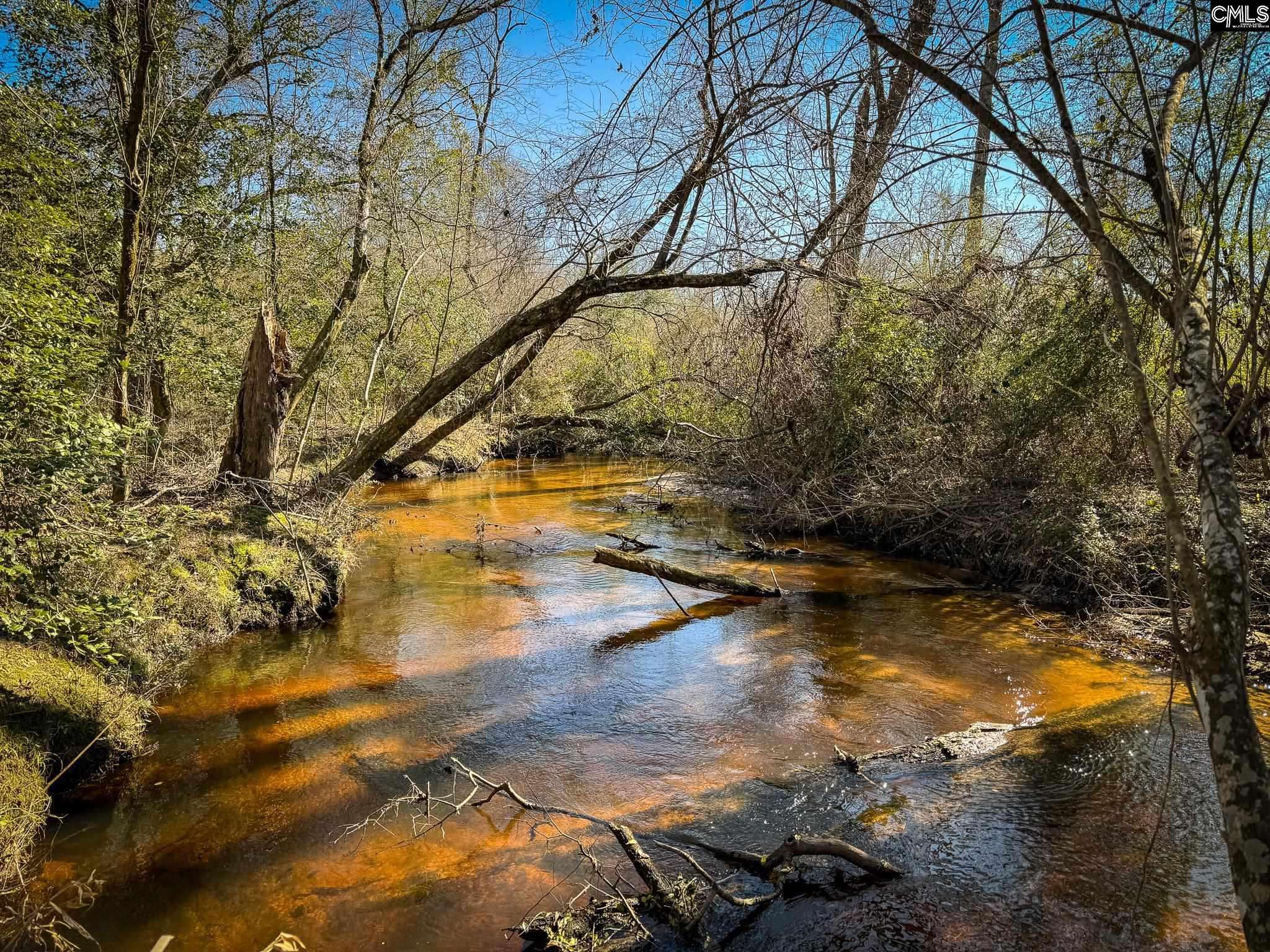 Leesville, SC 29070,0 Palomino Road Lot 17 #Lot 17