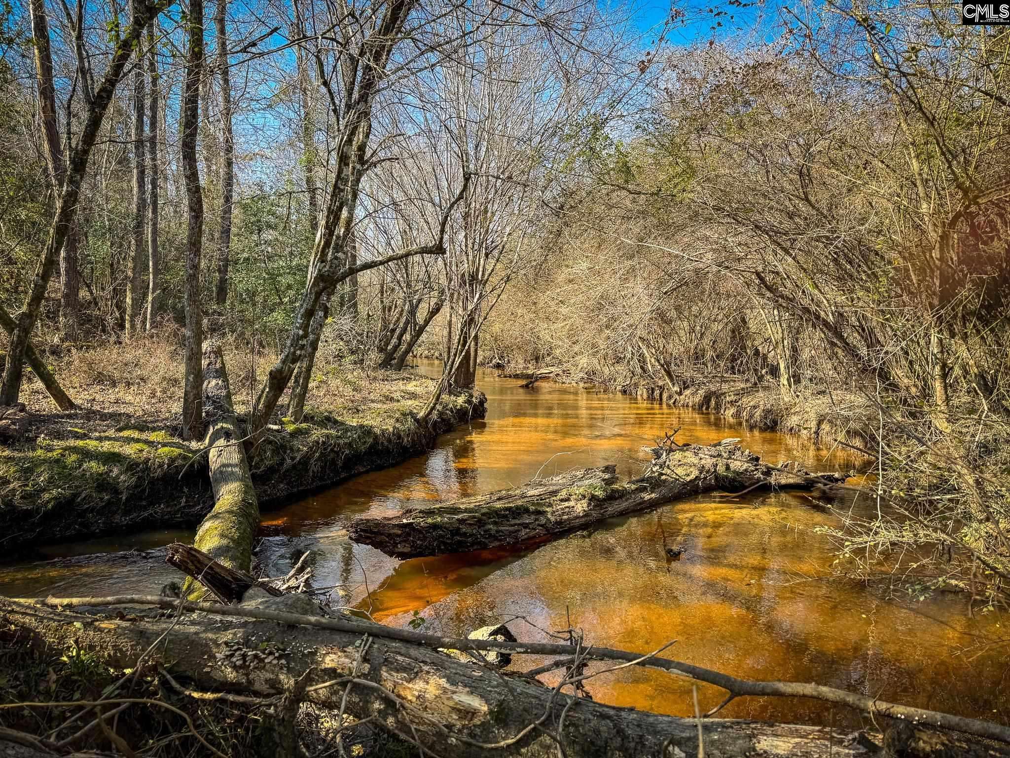 Leesville, SC 29070,0 Palomino Road Lot 12 #Lot 12