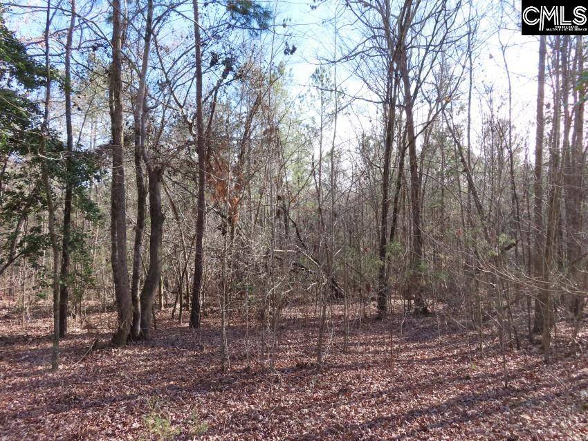 Batesburg, SC 29006,0 Rhinehart Road
