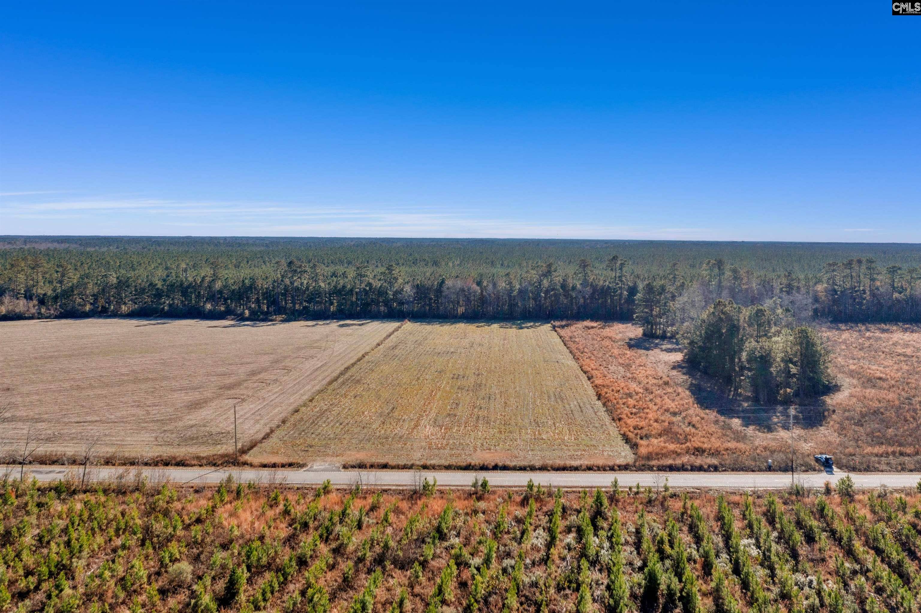 Hemingway, SC 29554,1745 Williams Hill Road 1