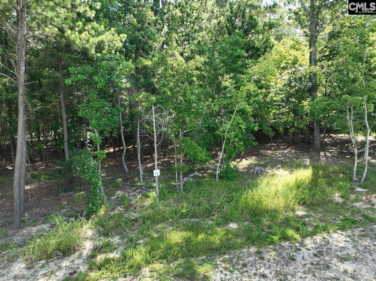 Prosperity, SC 29127,Timber Trail Lane #72