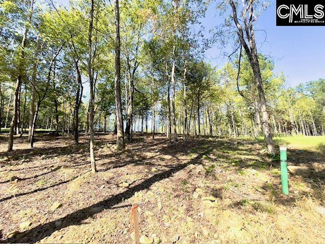 Chapin, SC 29036,1029 Refuge Place #23