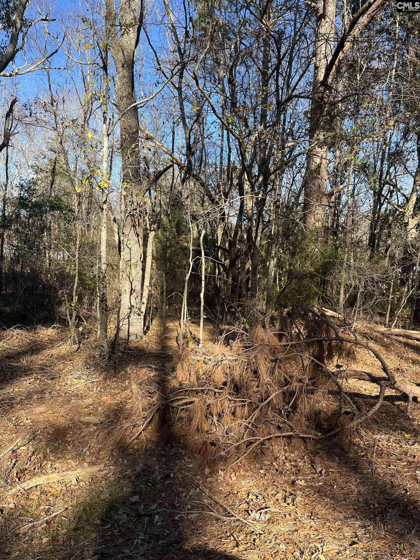 Swansea, SC 29160,TBD Swansea Road tract a