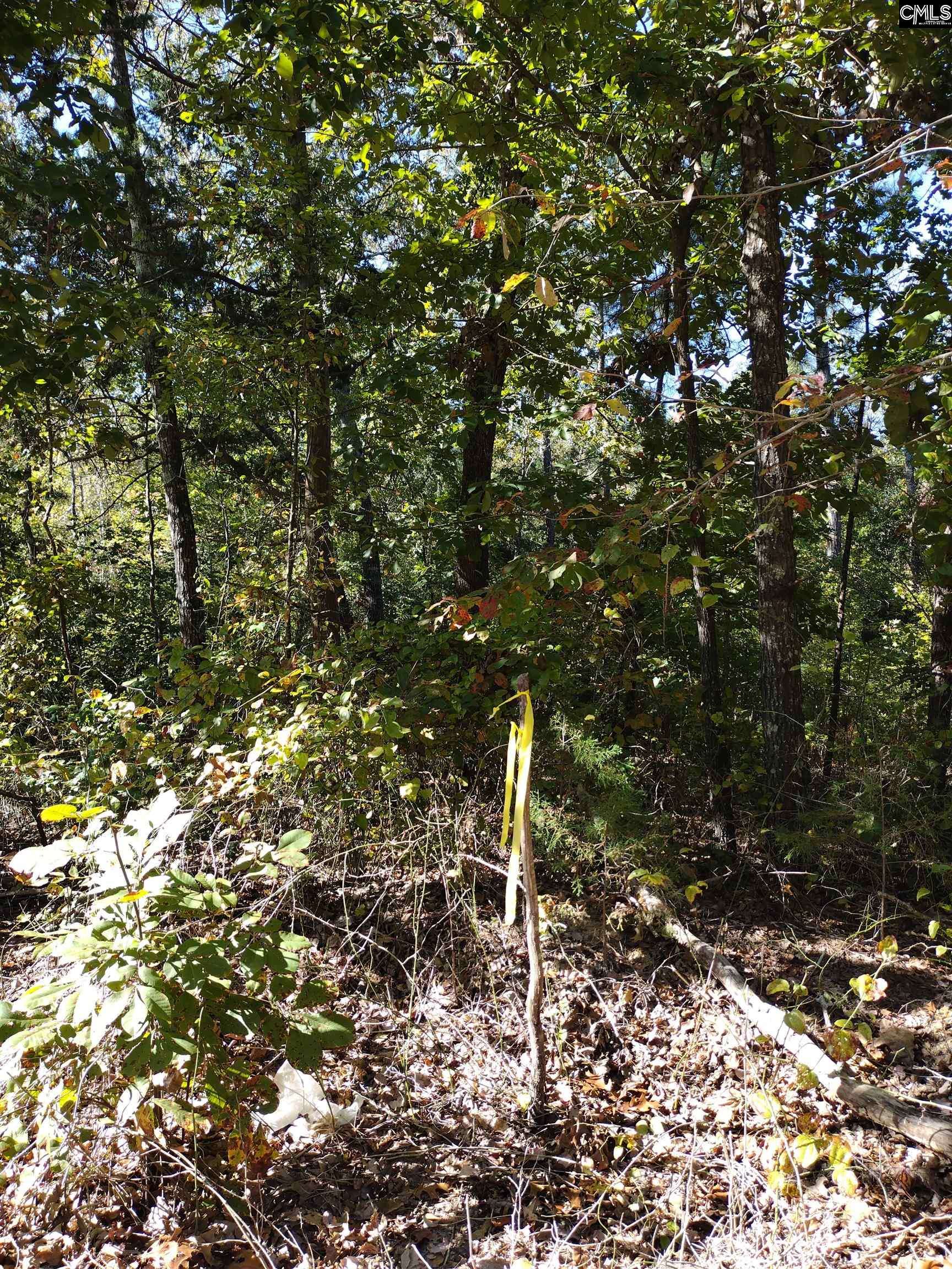 Little Mountain, SC 29075,TBD Sam Koon Road #4