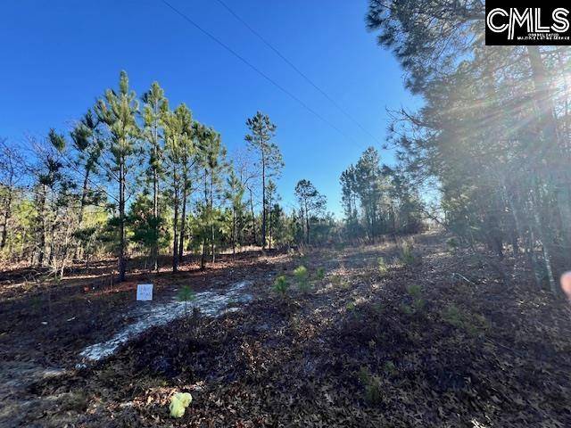 Bethune, SC 29009,TBD Stephens Road