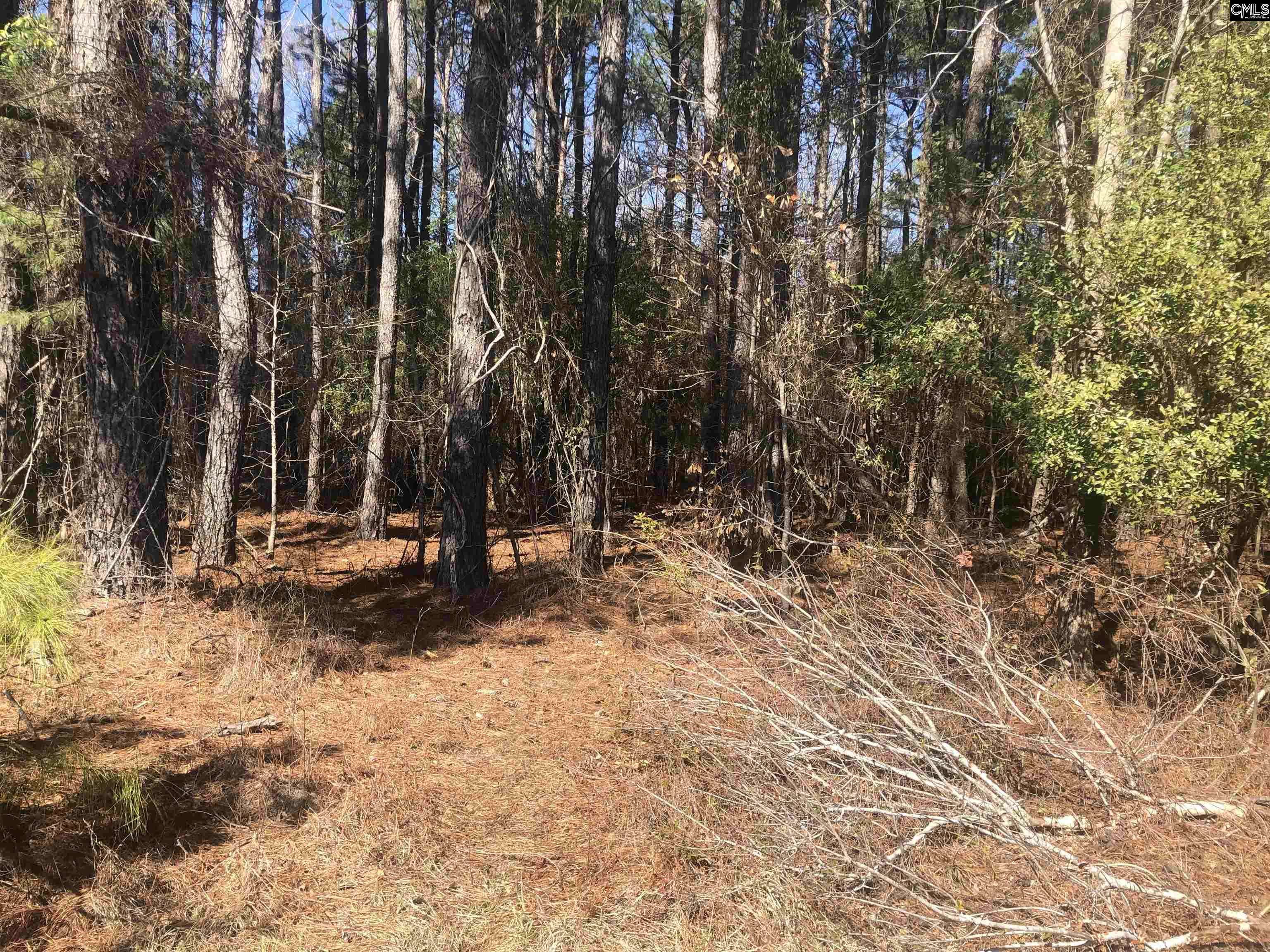 Pamplico, SC 29583,0 SANDBED Road