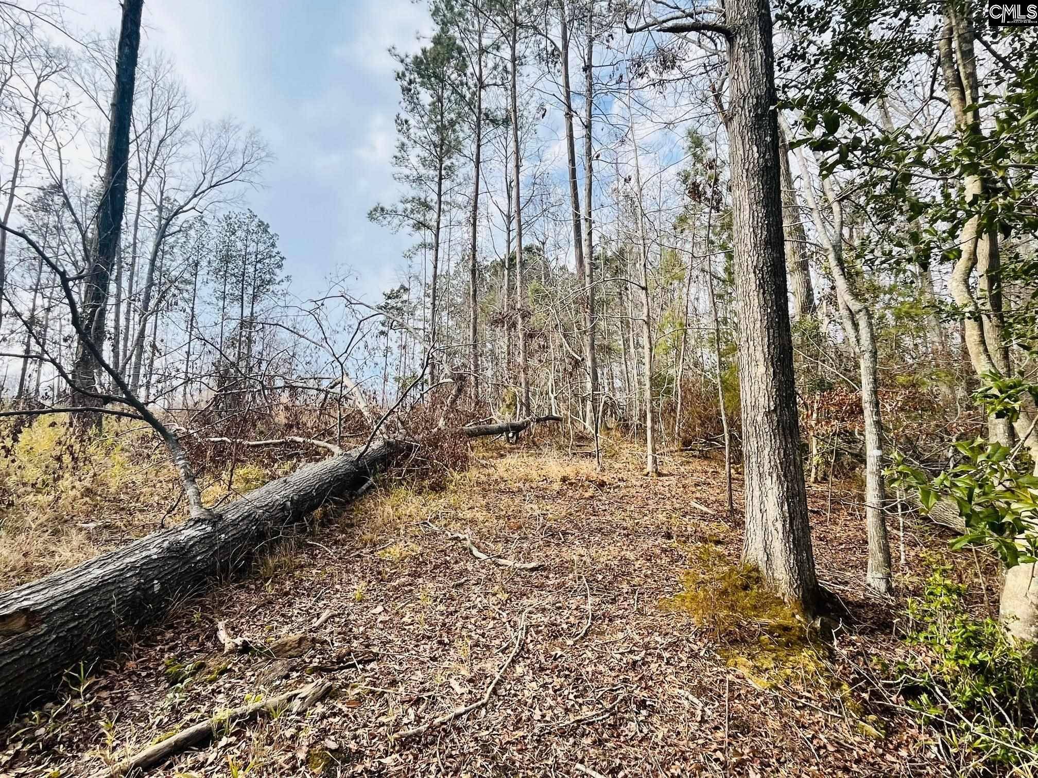 Prosperity, SC 29127-0000,0 Osprey Pointe Lane #20