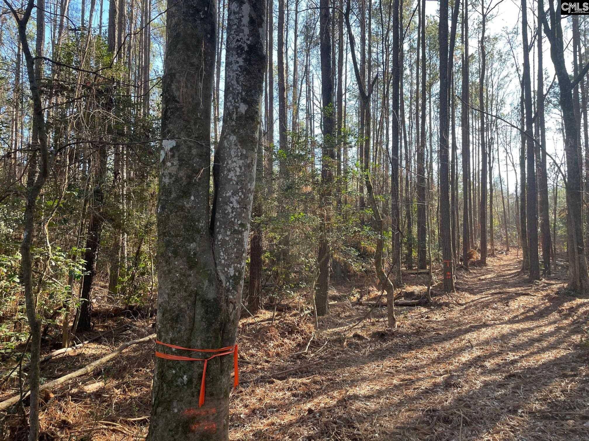 Prosperity, SC 29127,Lot 3 Houston Road #3