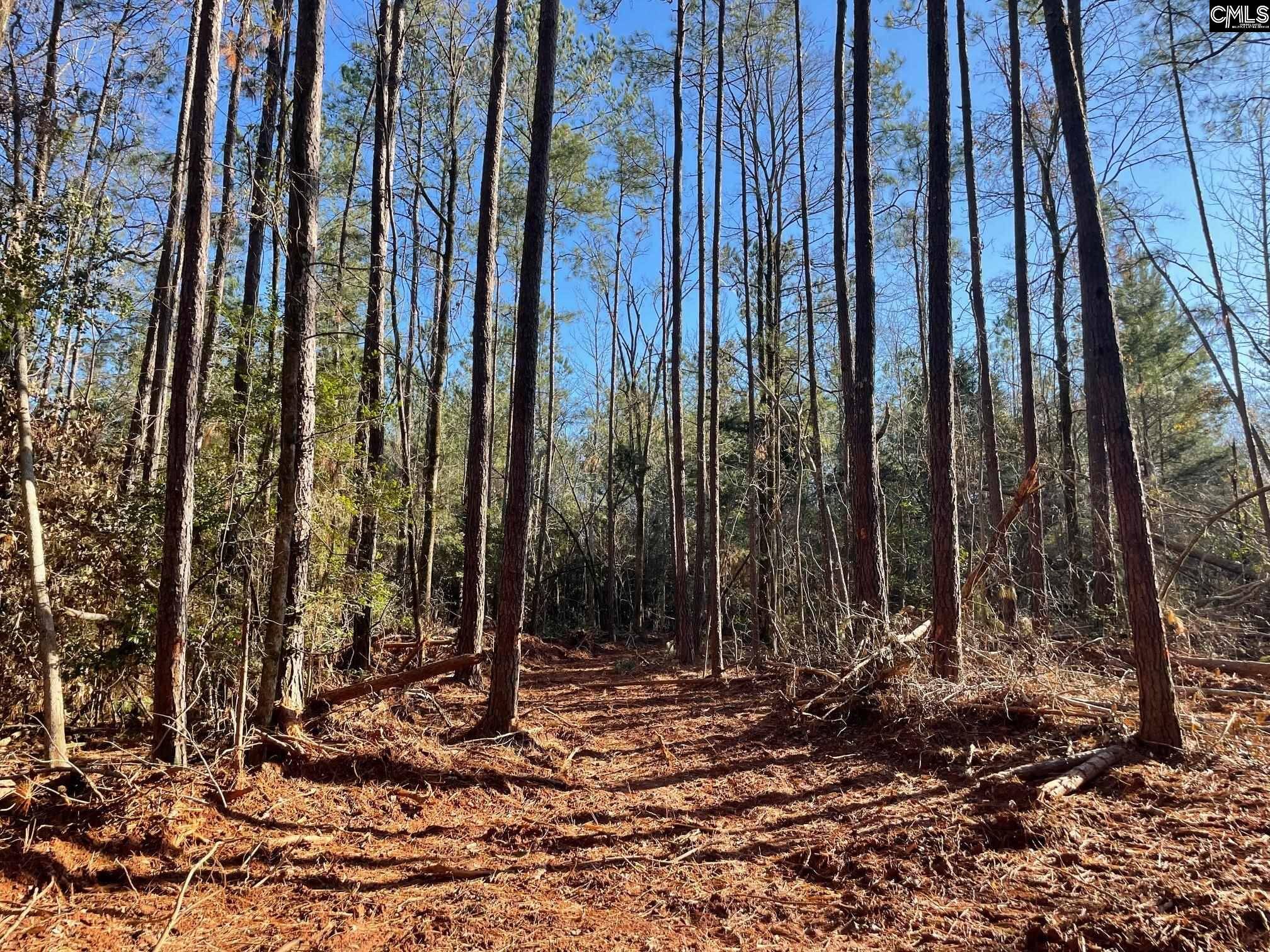 Prosperity, SC 29127,Lot 3 Houston Road #3