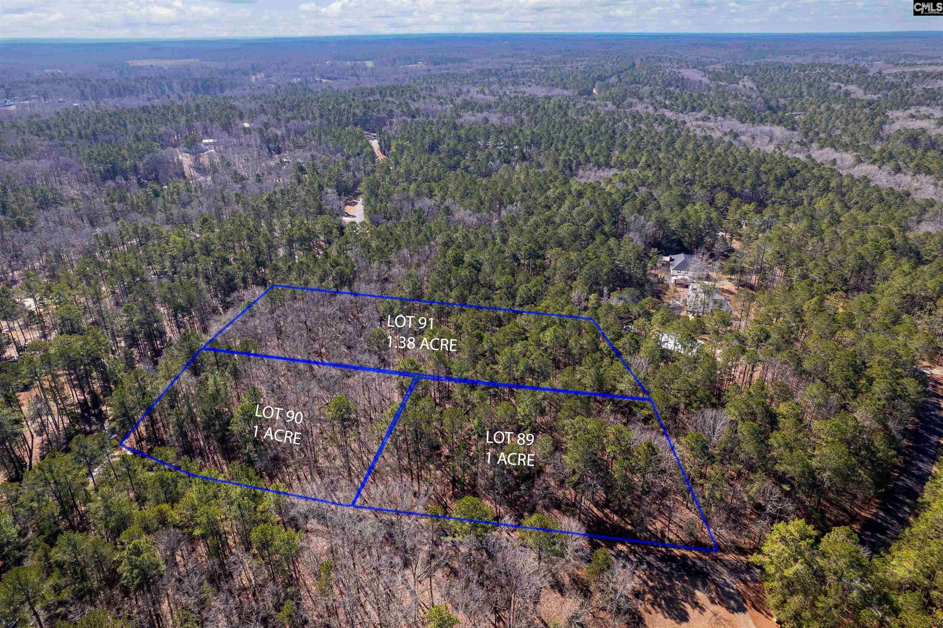 Batesburg, SC 29006,Little Saluda Lane #Lot 089