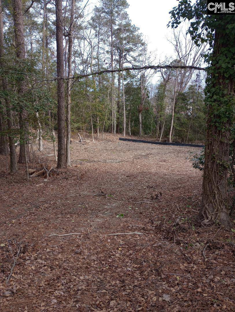 Lexington, SC 29072,0 Laurel Bluff Drive