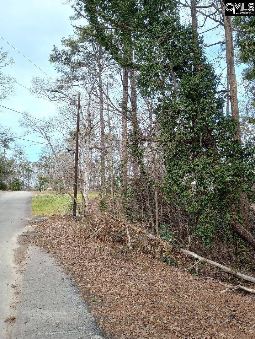 Lexington, SC 29072,0 Laurel Bluff Drive