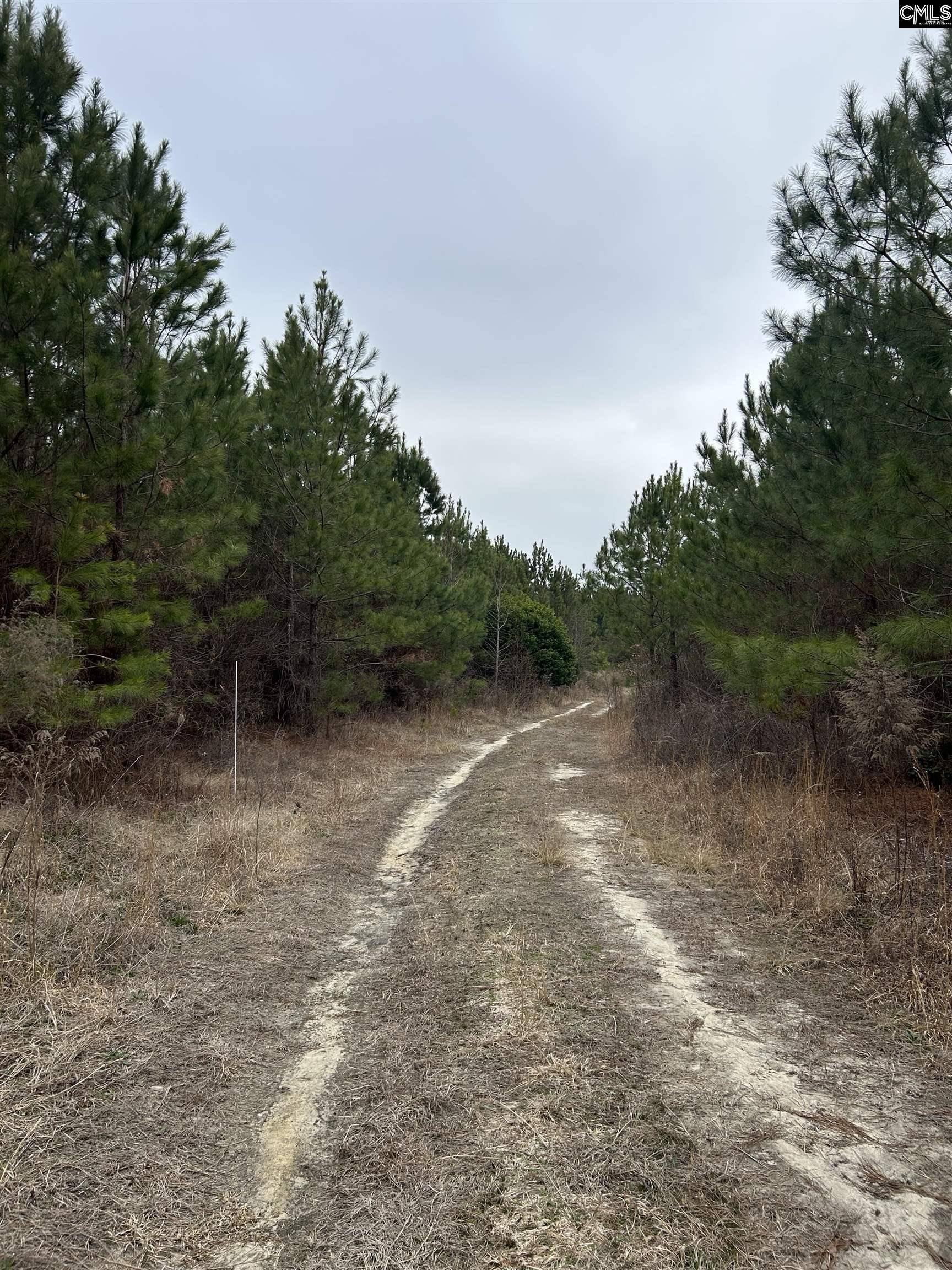 Cassatt, SC 29032-0000,TBD Old Camden Highway