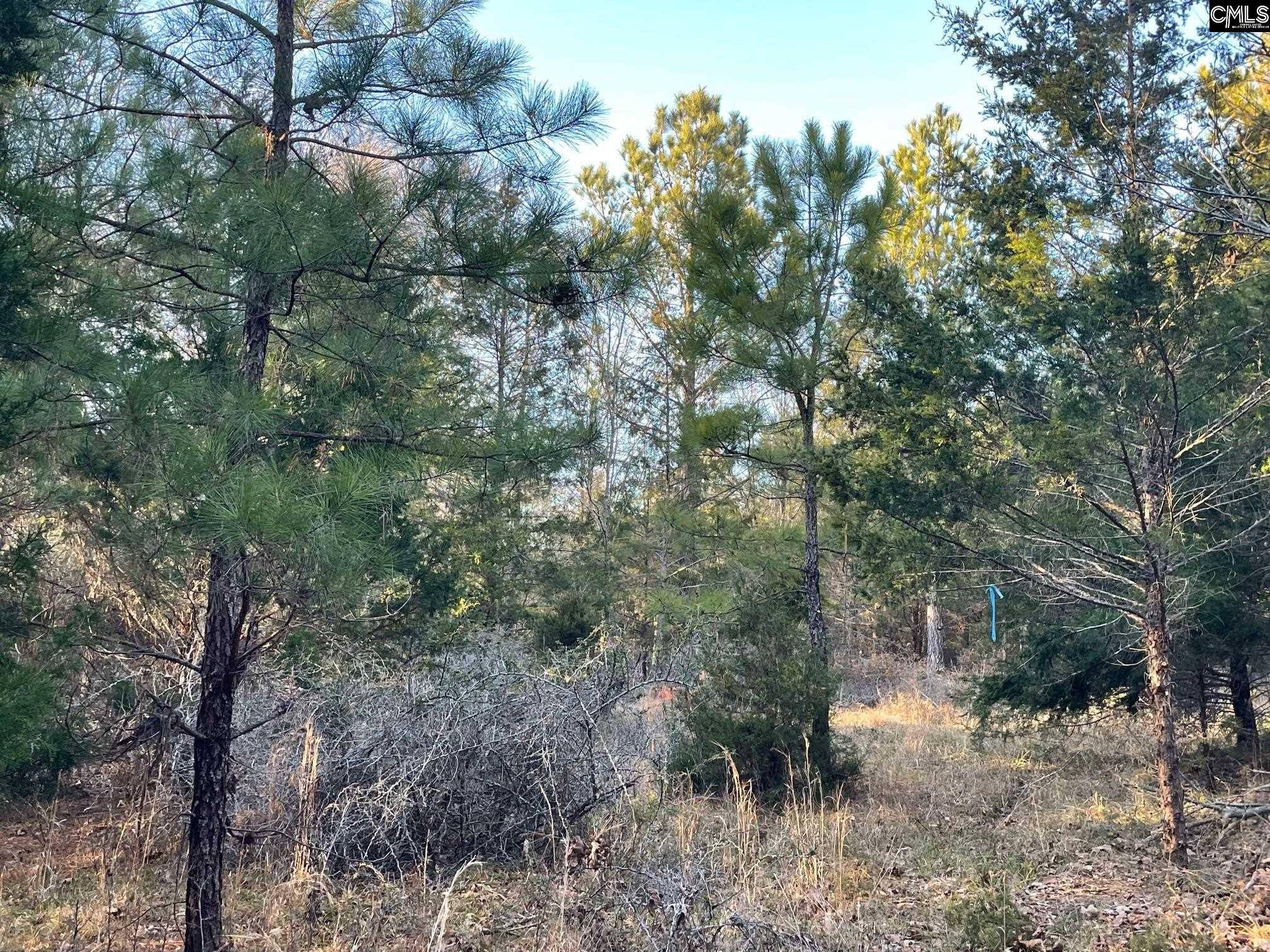 Pomaria, SC 29126,TRACT 2 SC Highway 219 #2